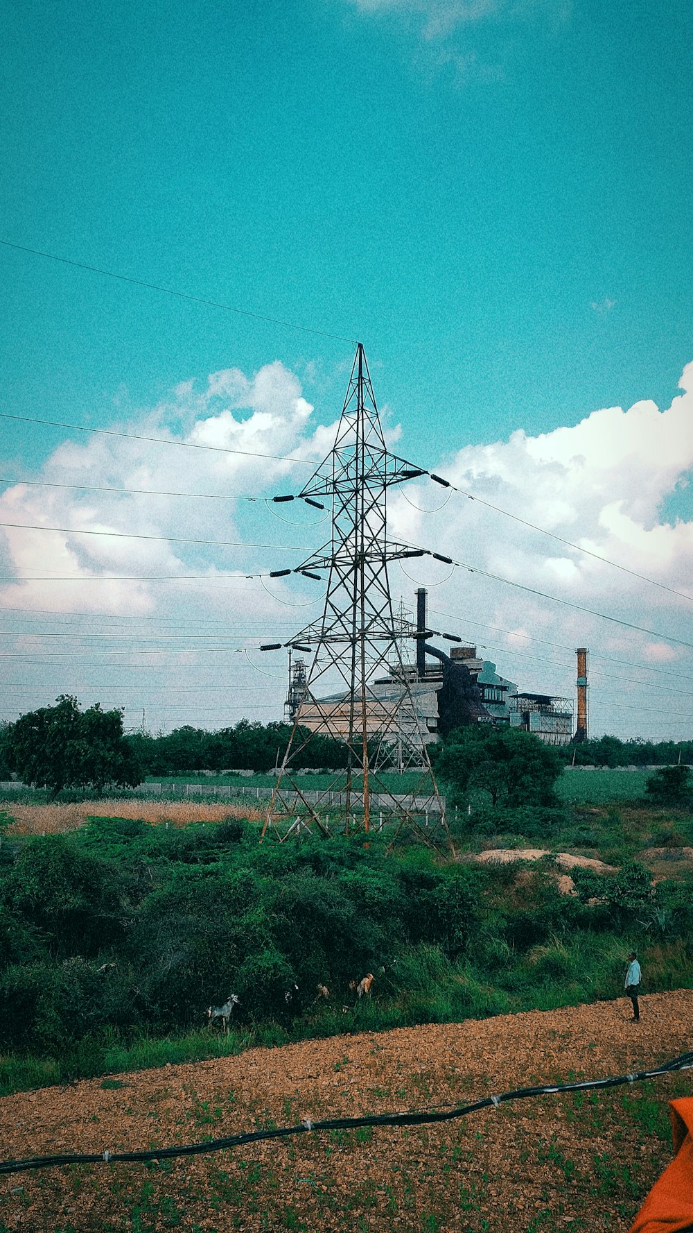 a man standing in a field next to a power line