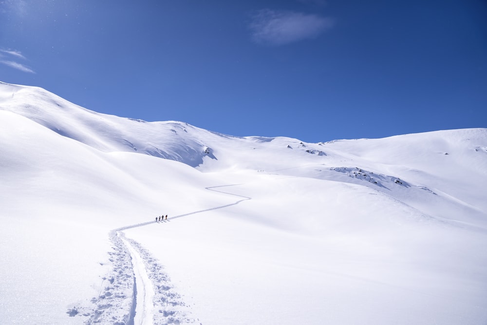 une personne qui dévale à skis une pente enneigée