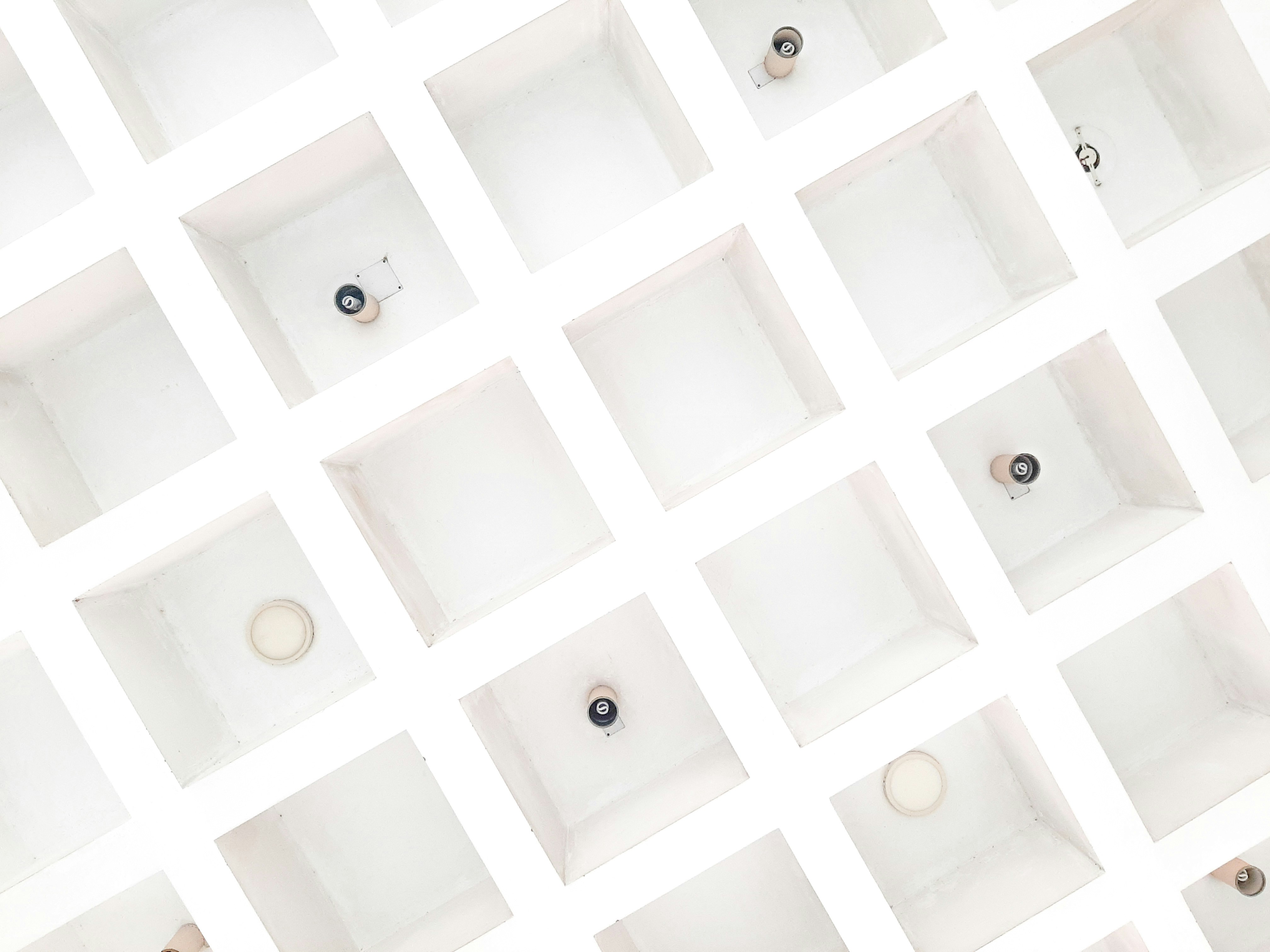 Photo by toushifalam