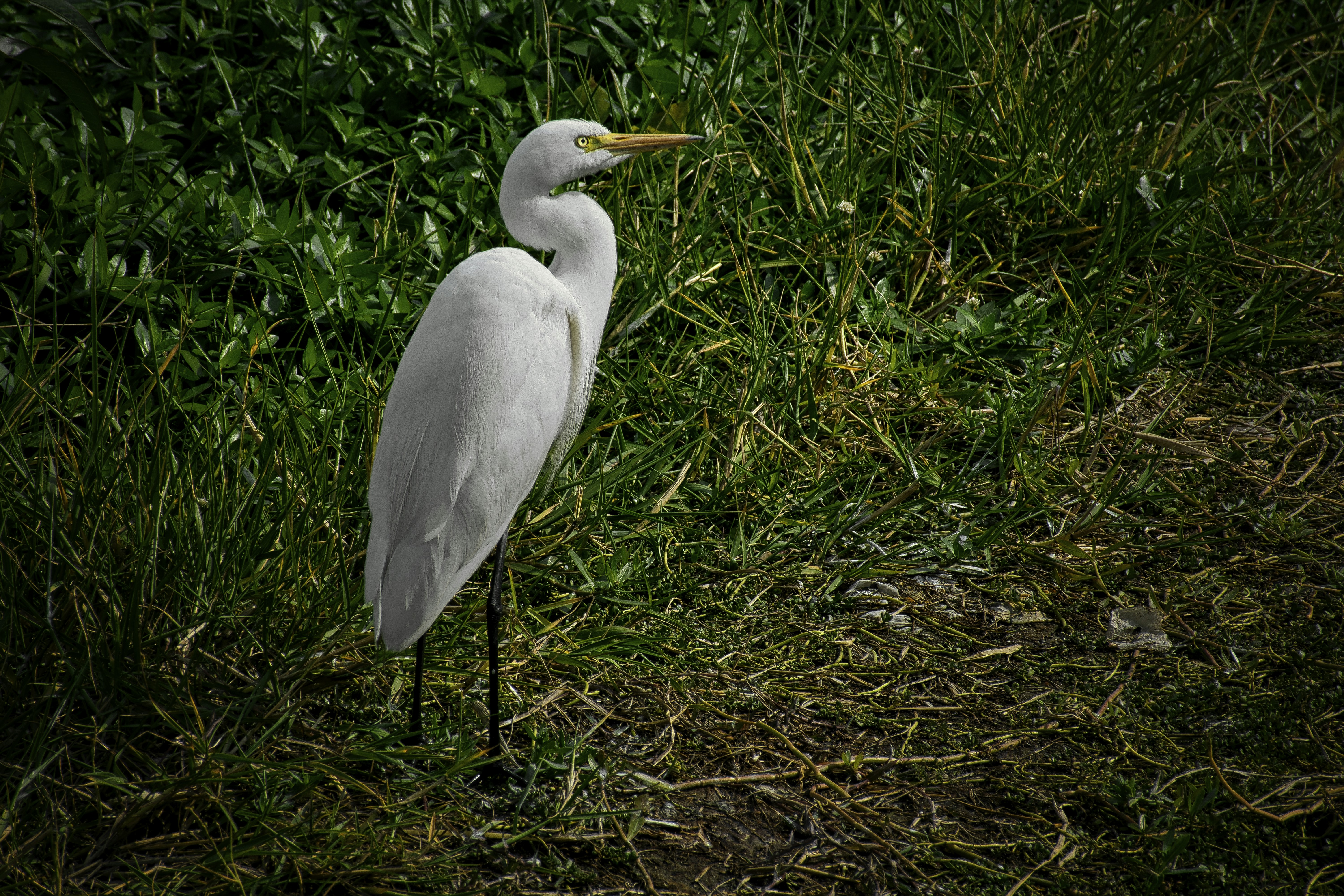 Photo by ankur800parmar