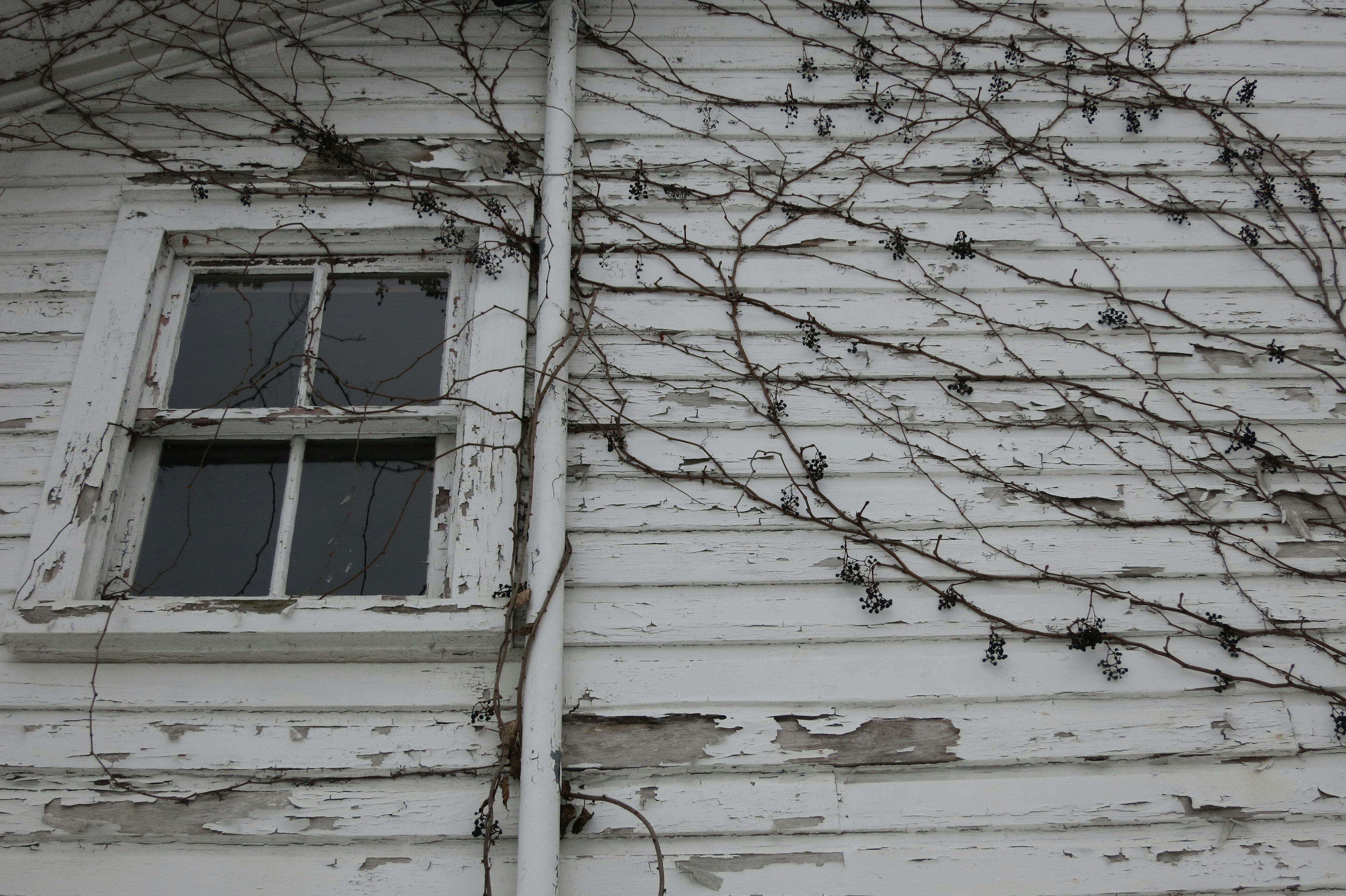 Photo by hollyrudolph