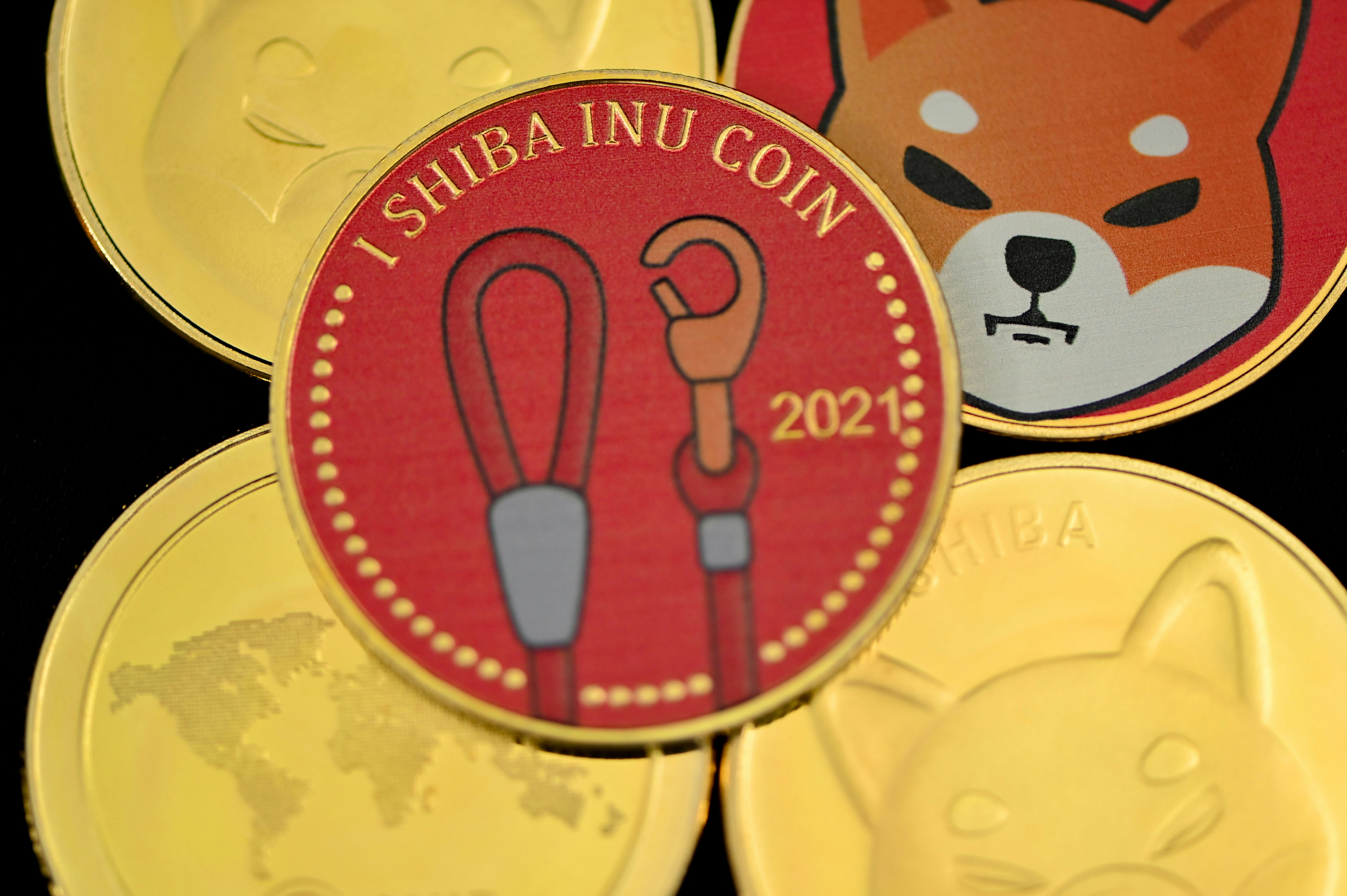 여우 그림이 있는 동전 클로즈업 사진 – Unsplash의 무료 사업 이미지