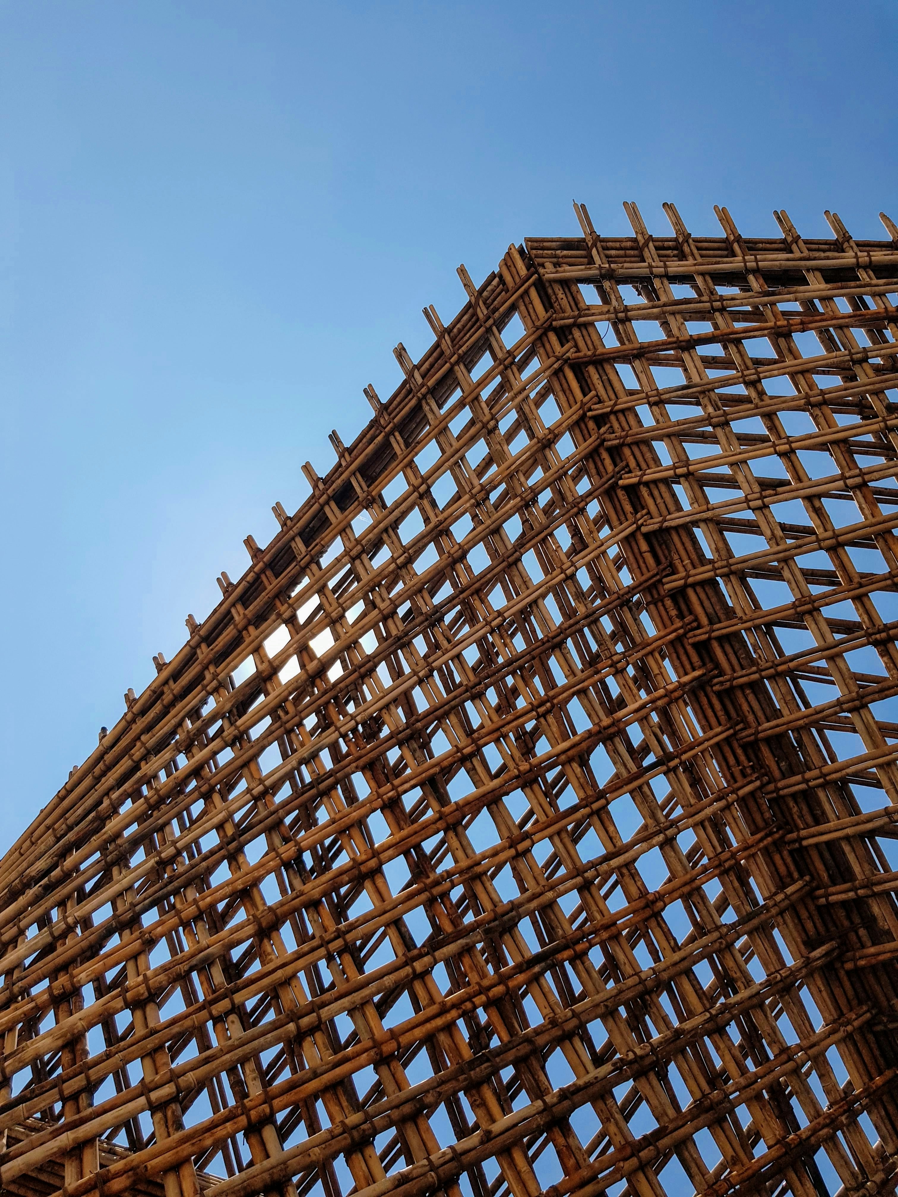 Photo by oj_photography