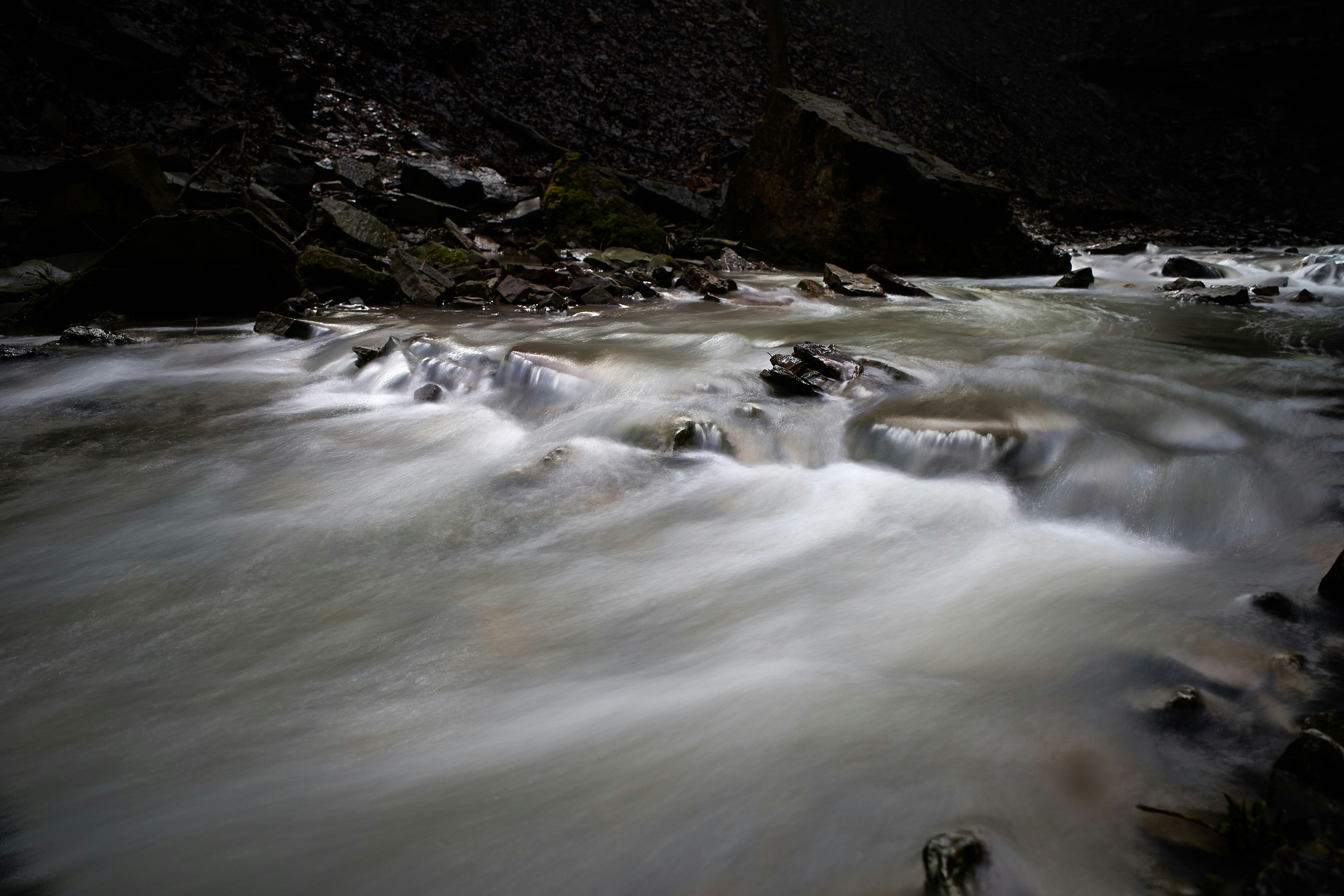 Photo by wolfgang_hasselmann