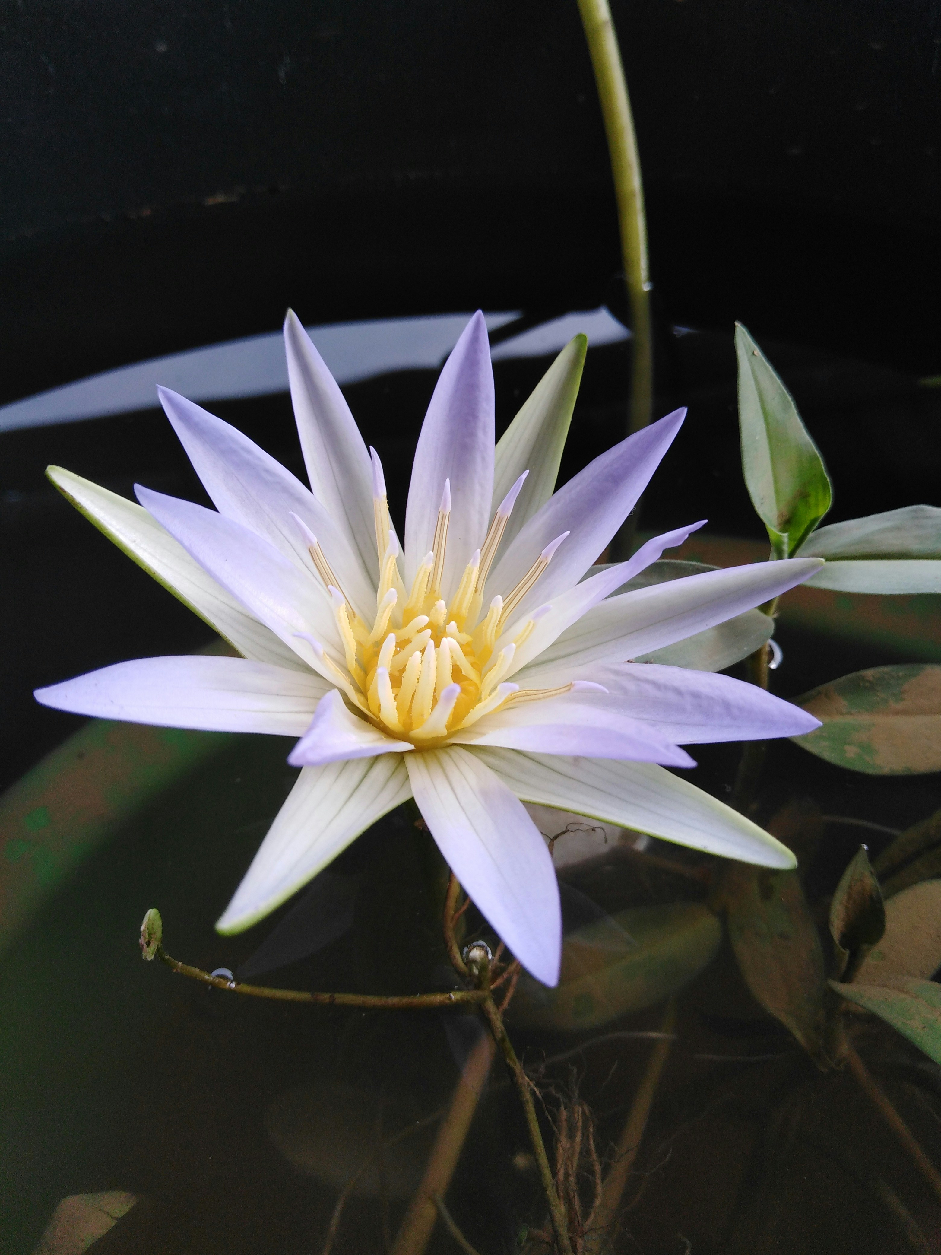 Photo by cherry_photography7