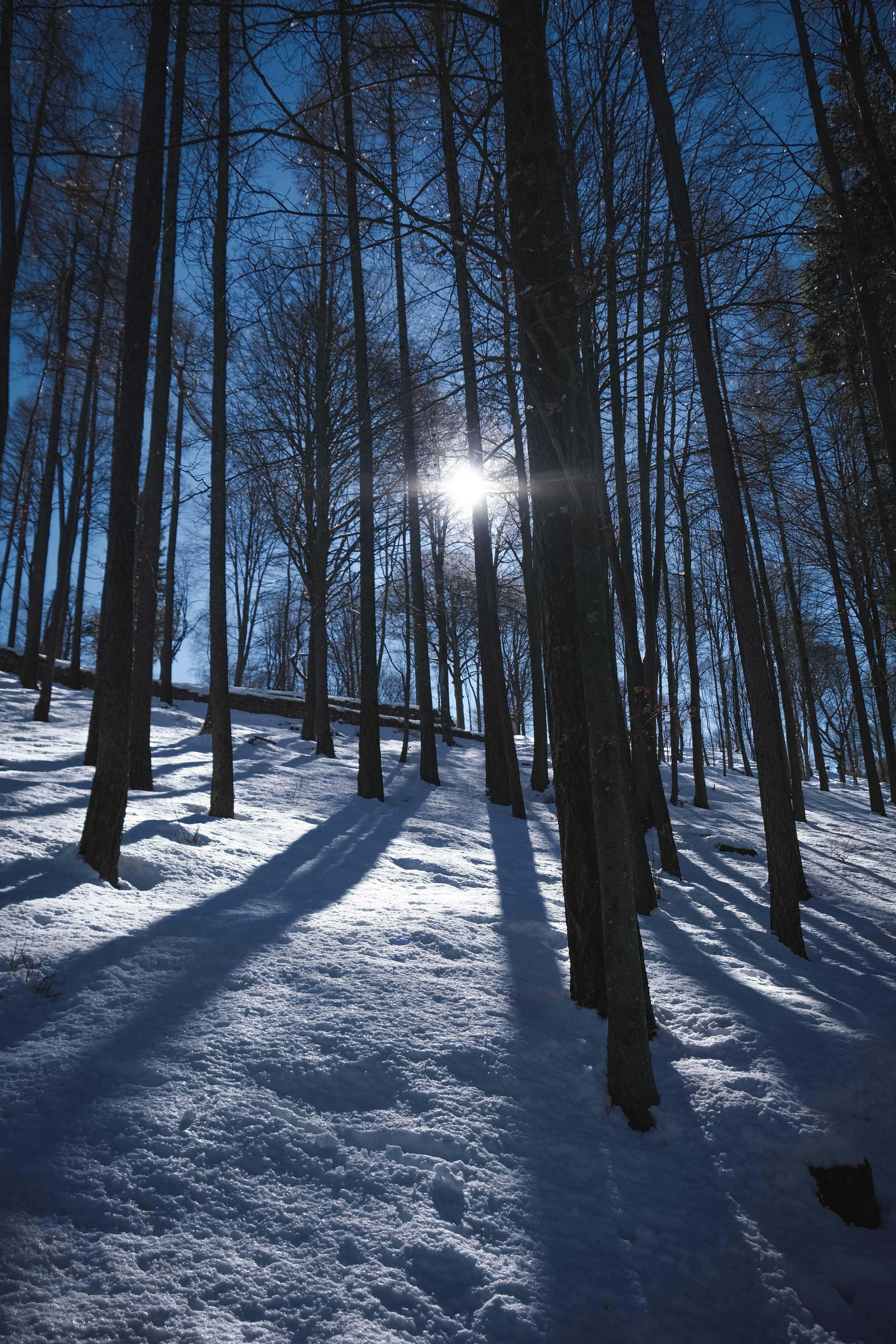 Photo by francesco_ungaro