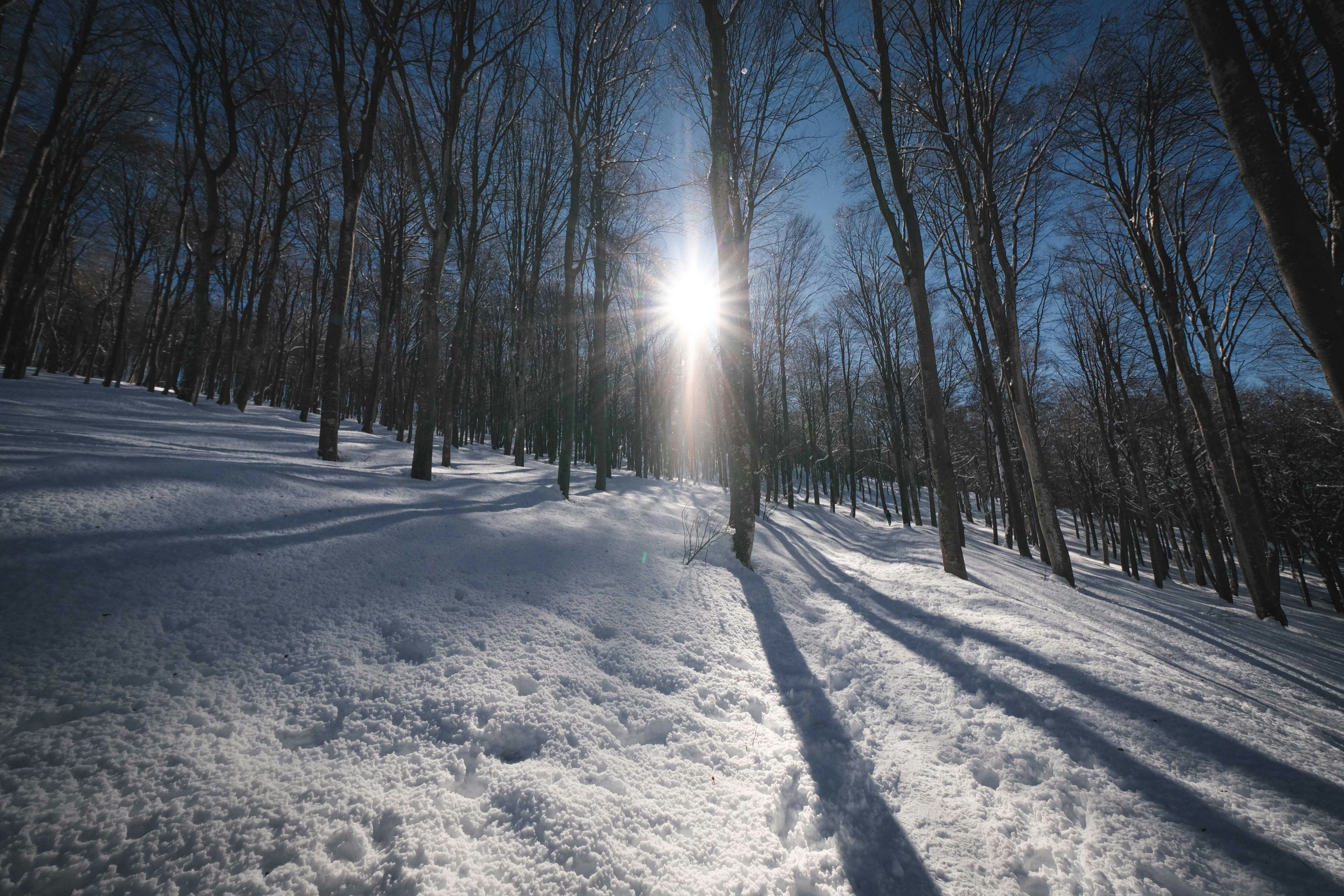 Photo by francesco_ungaro