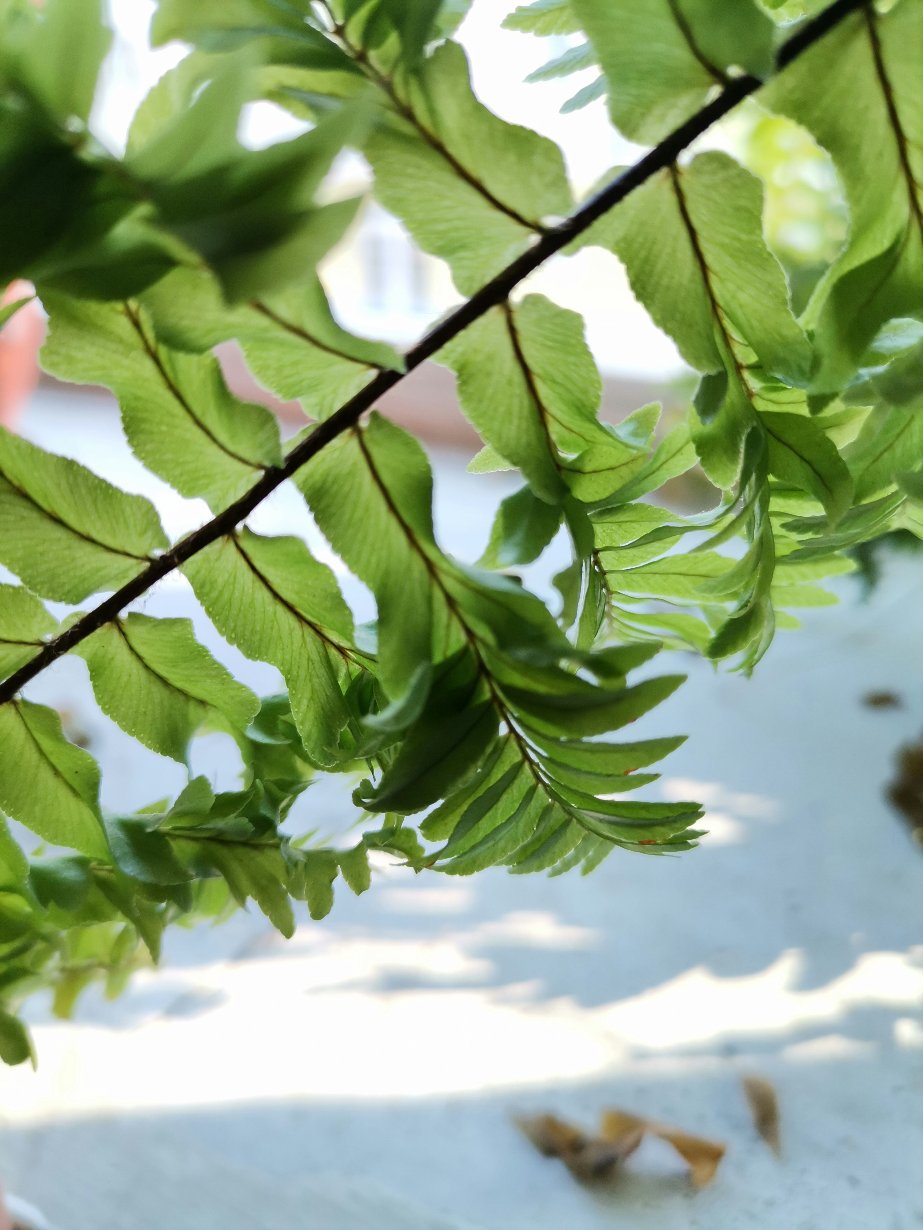 Photo by artwithnature