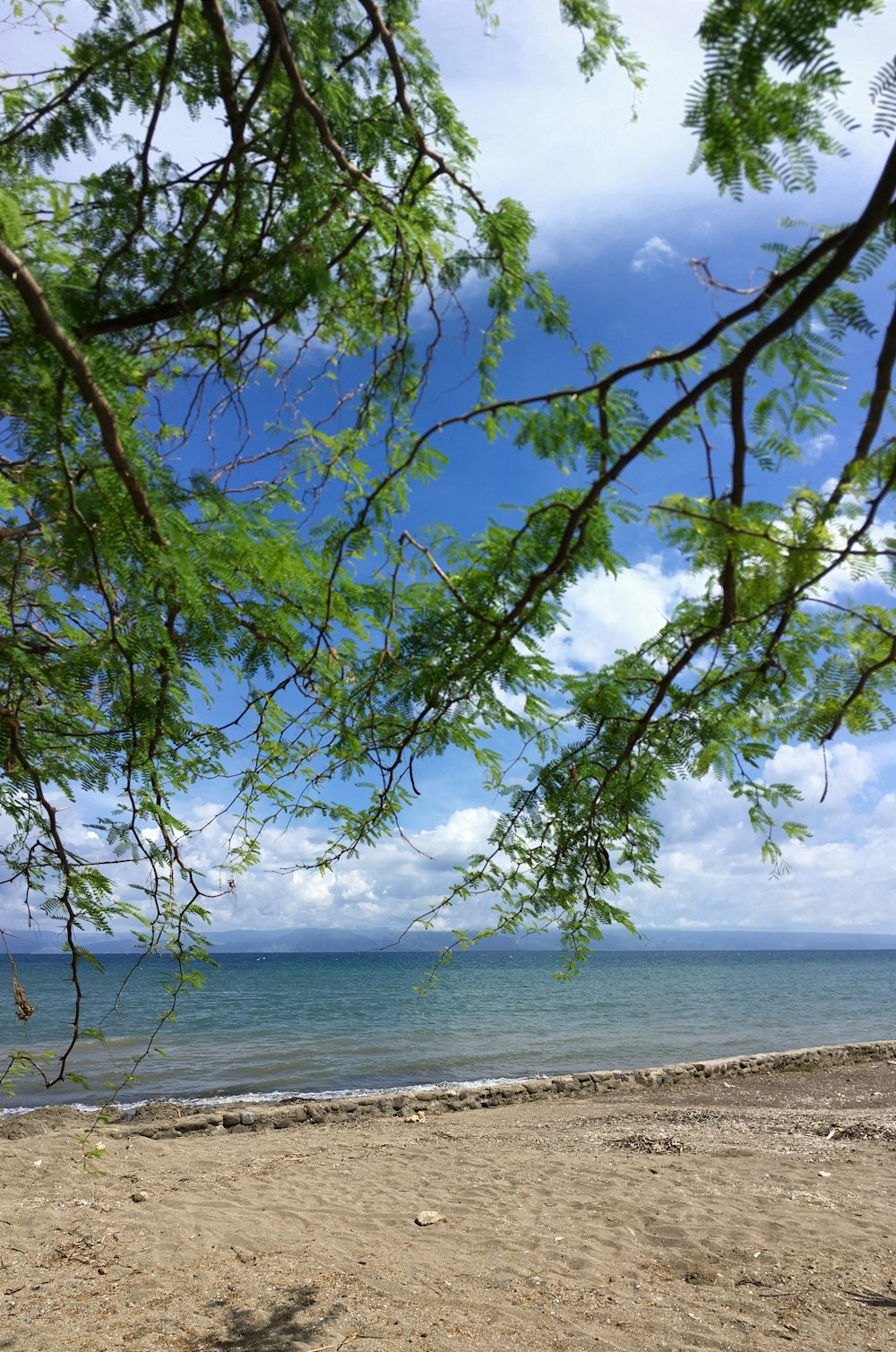 Un banc assis au sommet d’une plage de sable au bord de l’océan