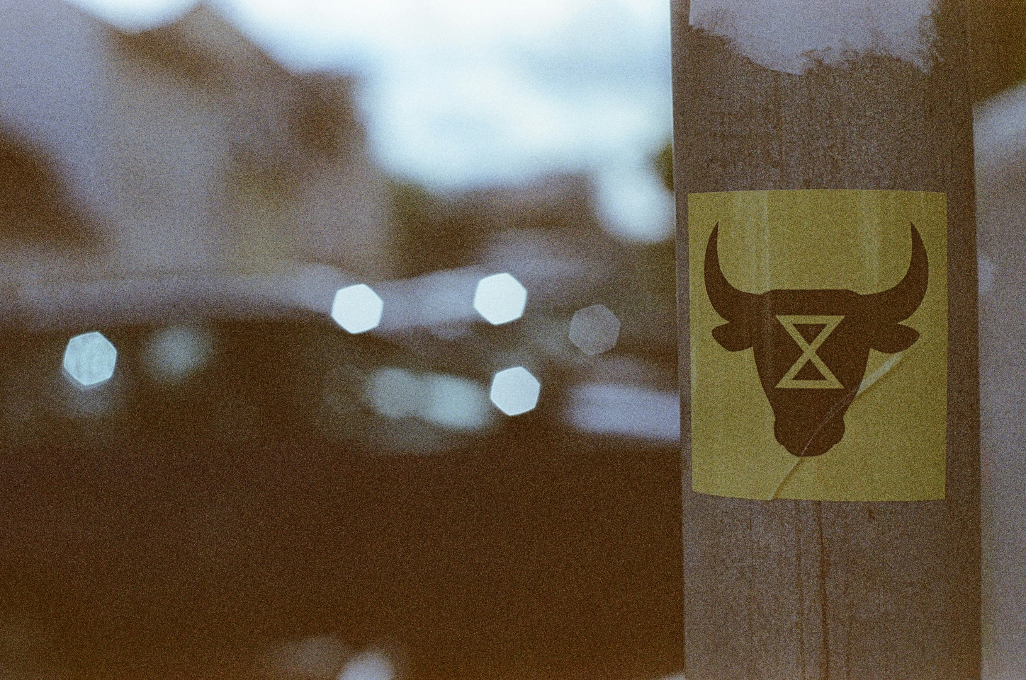 Extinction Rebellion - Protest sticker against animal suffering. Leica R7 (1994), Summilux-R 1.4 50mm (1983). Hi-Res analog scan by www.totallyinfocus.com - Kodak Gold 160 (expired 2001)