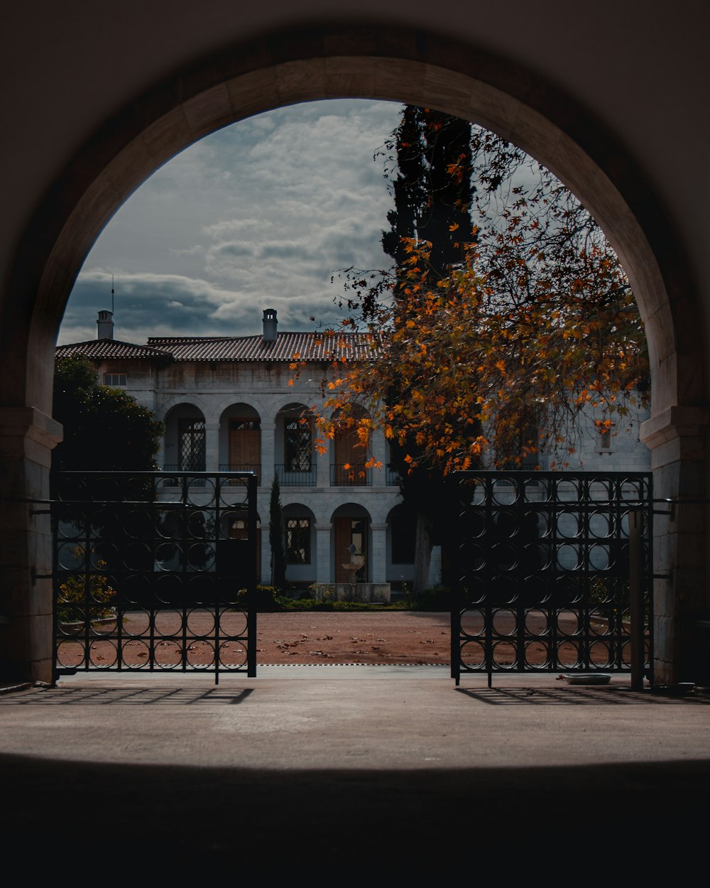 a large white building with a tree in front of it