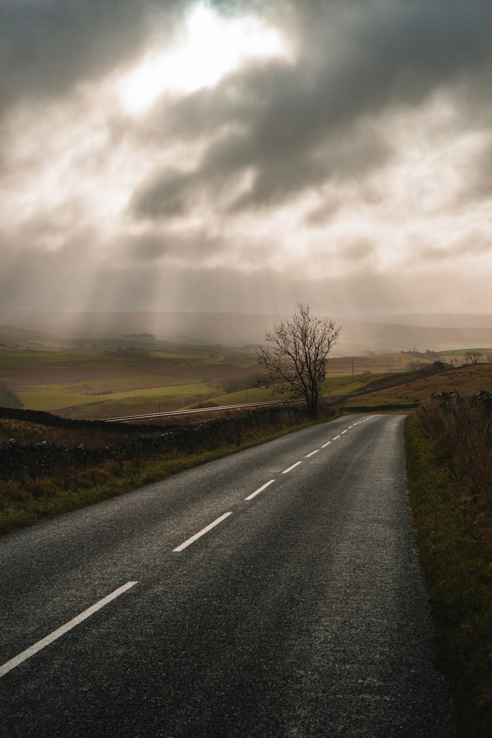 an empty road with a lone tree on the side