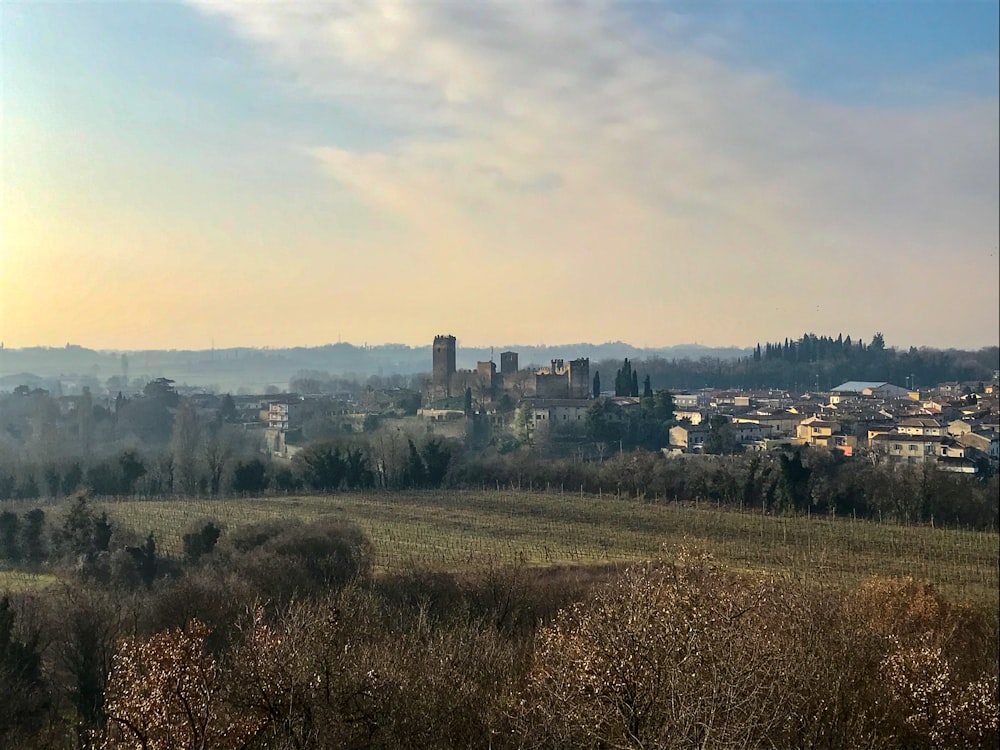 a view of a city from a hill