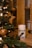 A container of pet ear wipes is placed on a wooden surface. In the foreground, Christmas tree branches are adorned with yellow lights and wooden star-shaped ornaments, creating a cozy festive atmosphere.