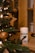 A container of pet ear wipes is placed on a wooden surface. In the foreground, Christmas tree branches are adorned with yellow lights and wooden star-shaped ornaments, creating a cozy festive atmosphere.
