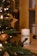 A container of pet ear wipes is placed on a wooden surface. In the foreground, Christmas tree branches are adorned with yellow lights and wooden star-shaped ornaments, creating a cozy festive atmosphere.