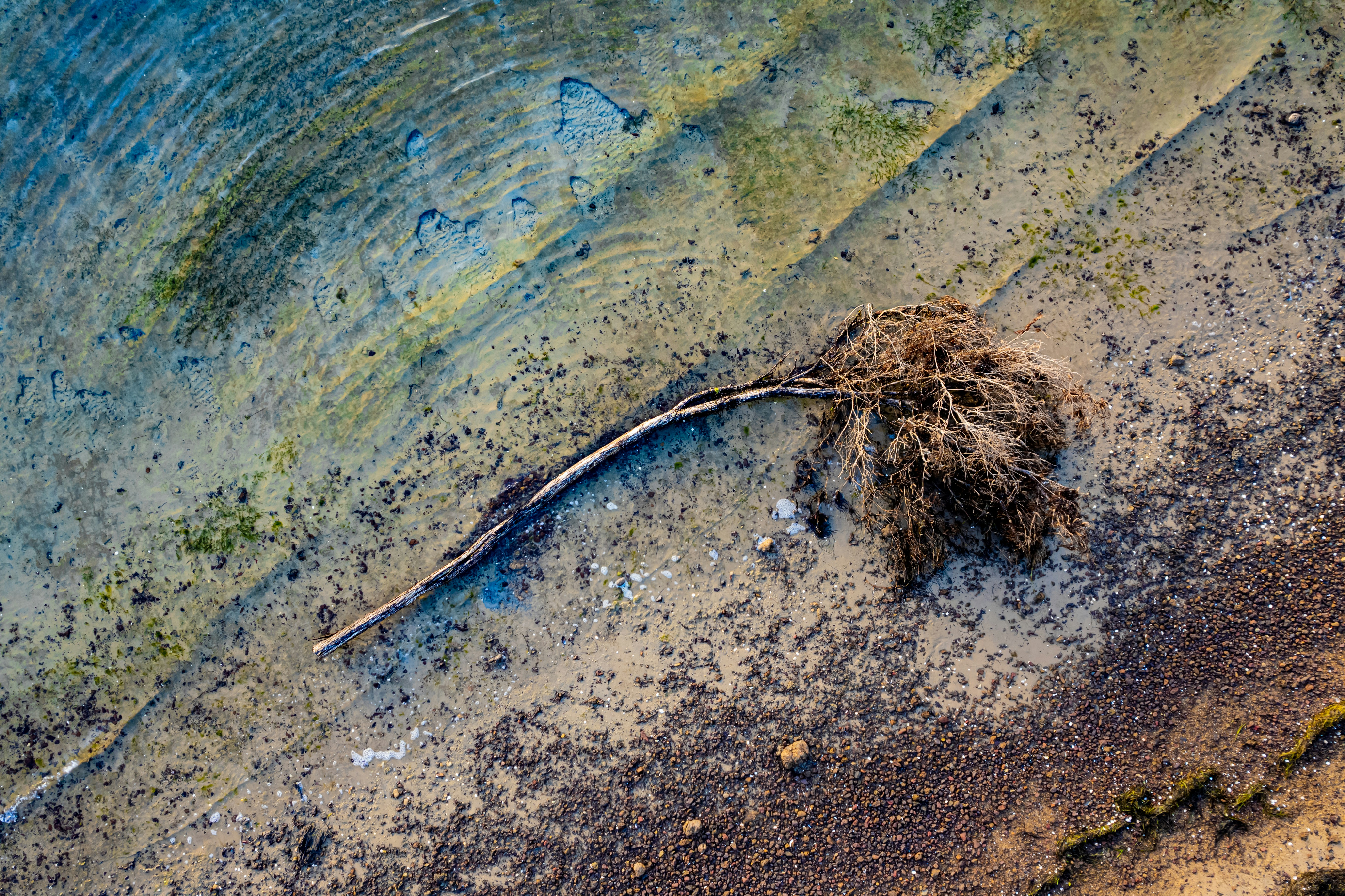 Photo by bennettsark