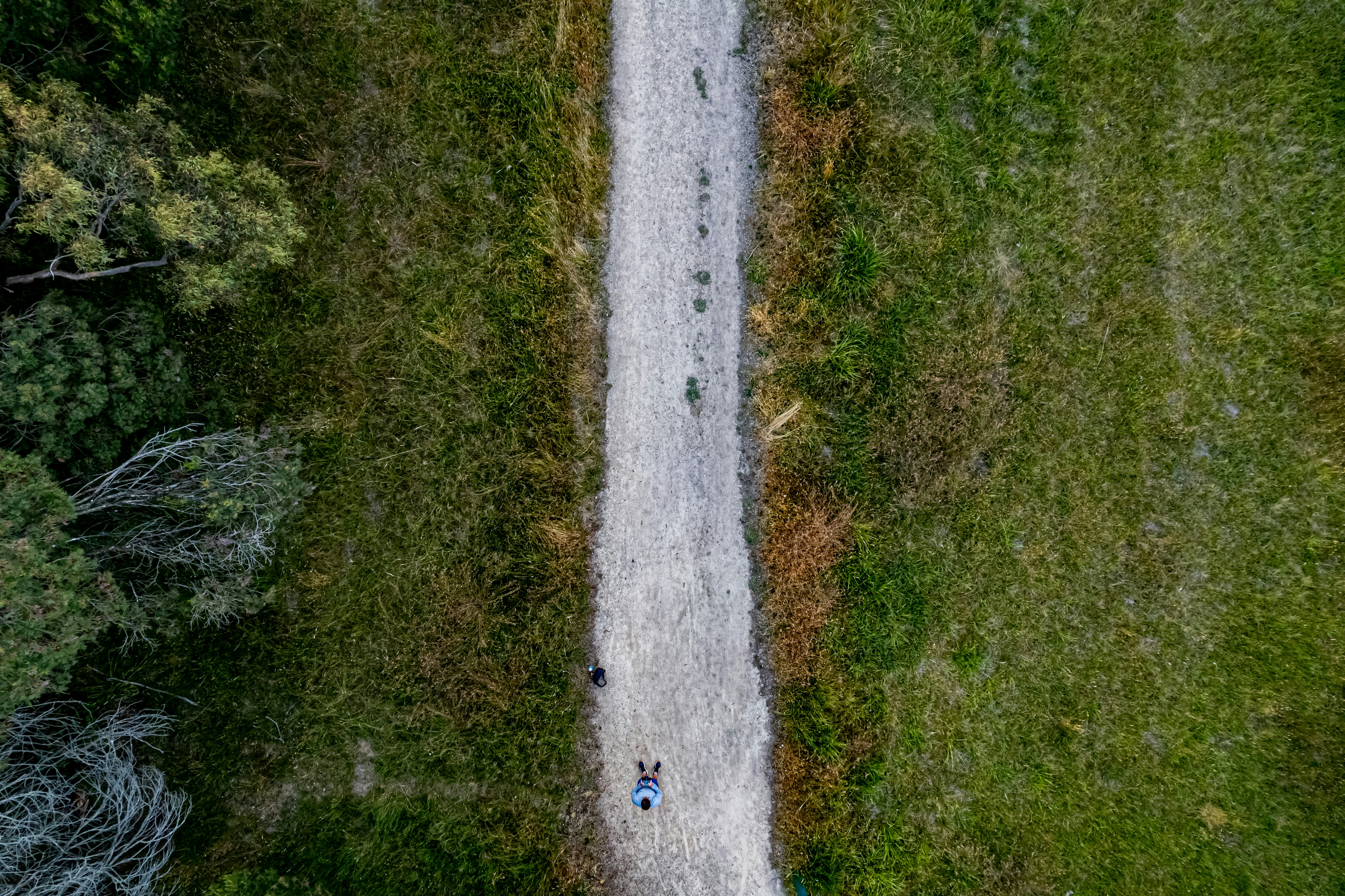 a person walking down a dirt road in the middle of a forest