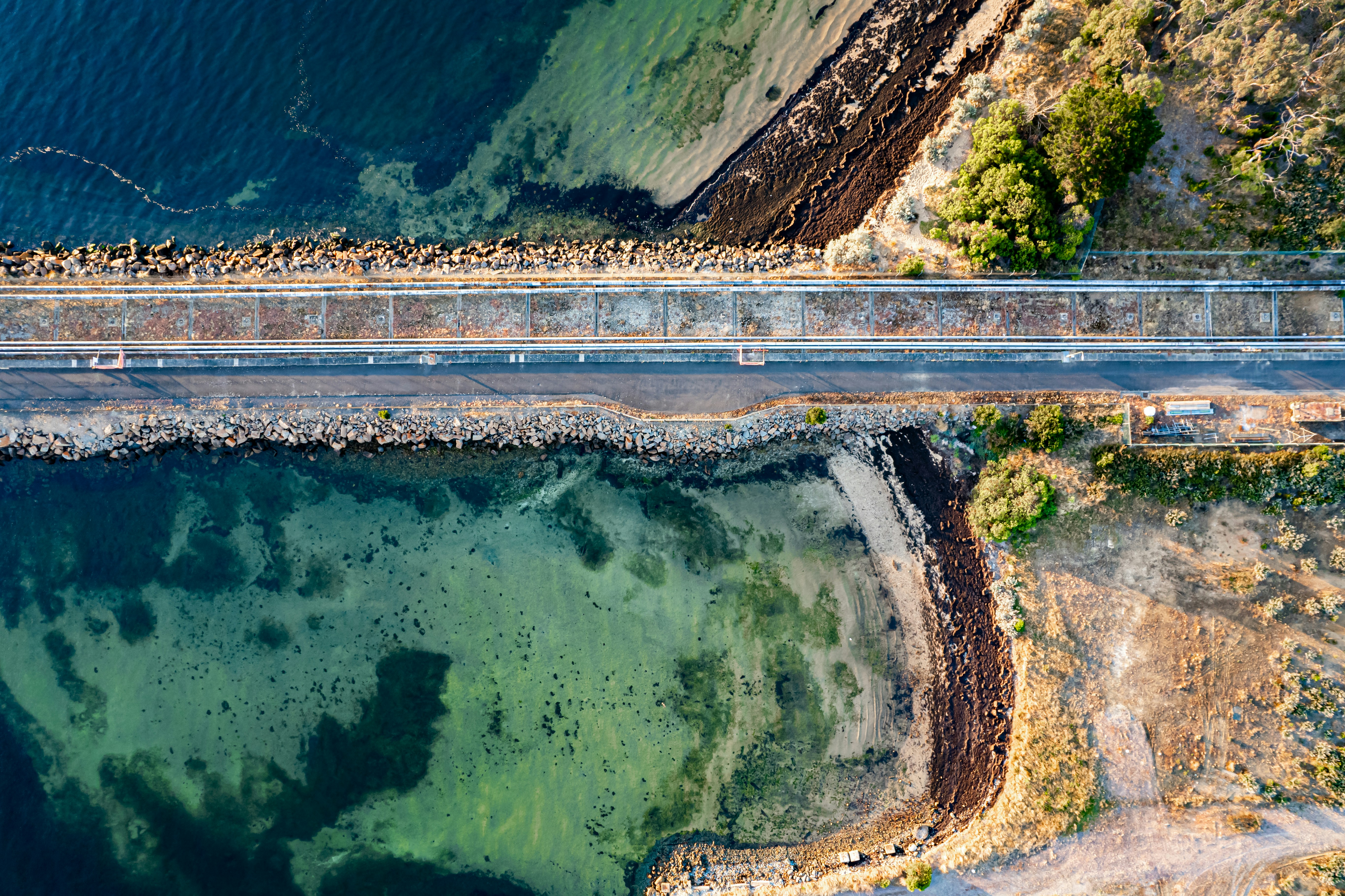 Photo by bennettsark