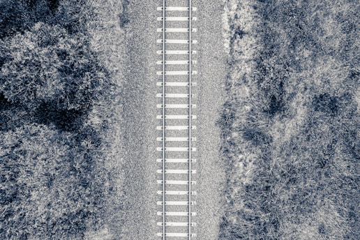 An aerial view of a railway track cutting through dense vegetation. The railway line is flanked by patches of grass and shrubs on either side, creating a contrast between the linear man-made structure and the organic natural growth.