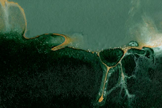 a painting of a green and yellow substance