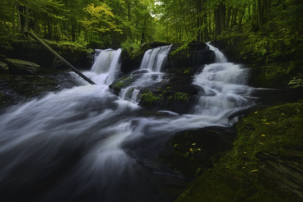 a small waterfall in the middle of a forest