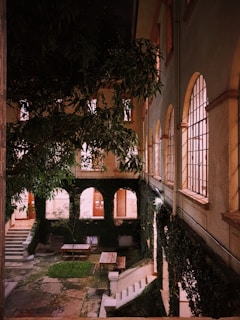 advogados benefícios experiência