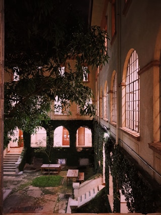 advogados benefícios experiência