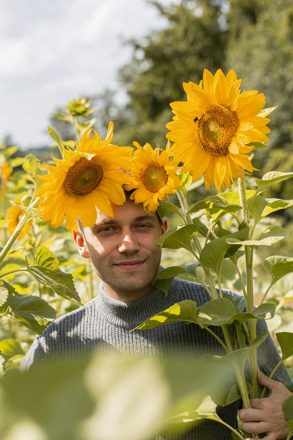 a man standing in a field of sunflowers