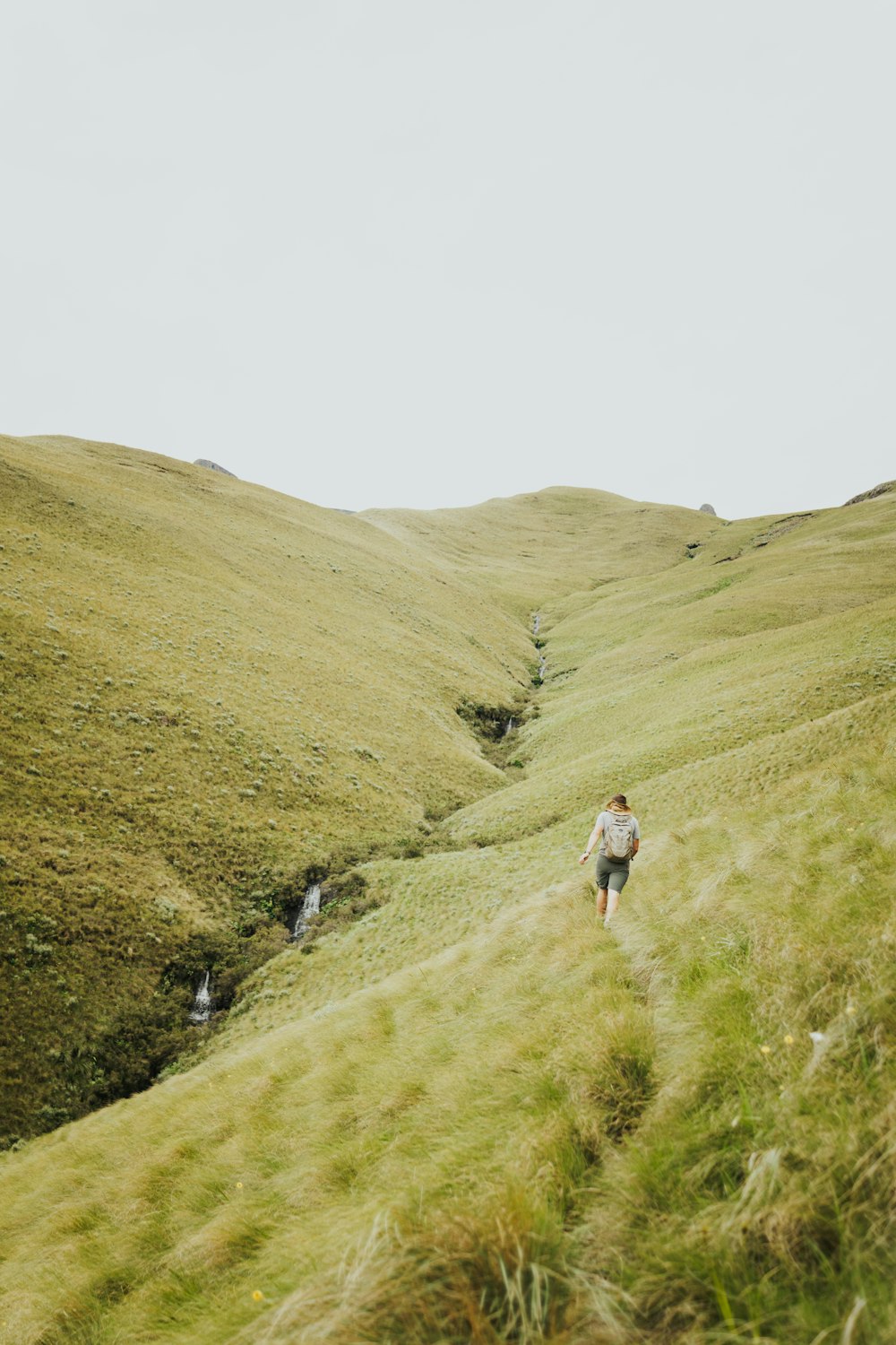 a man hiking up a grassy hill