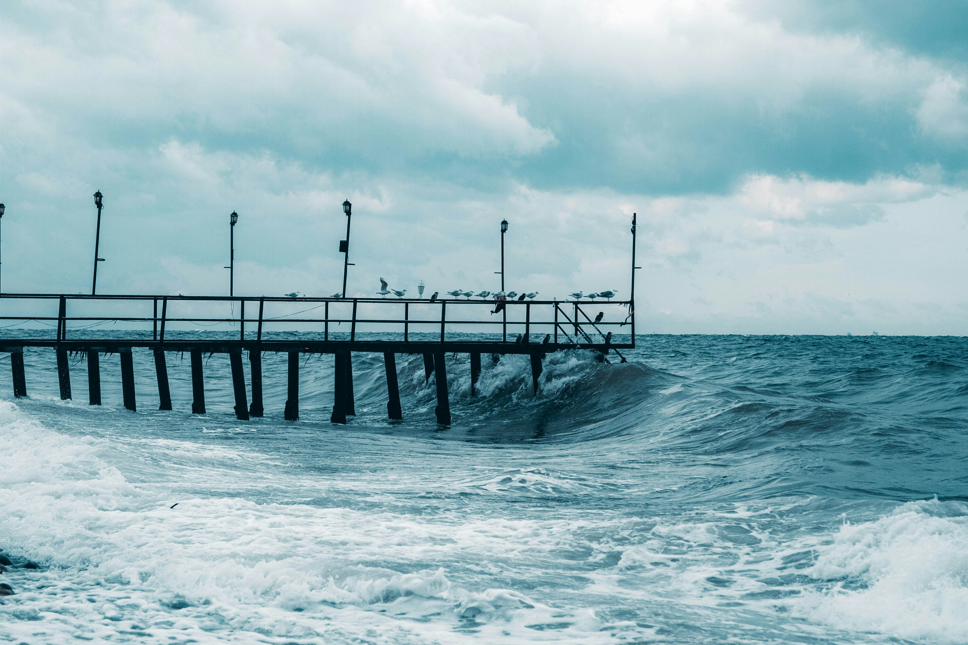 Photo by serhaterdogan