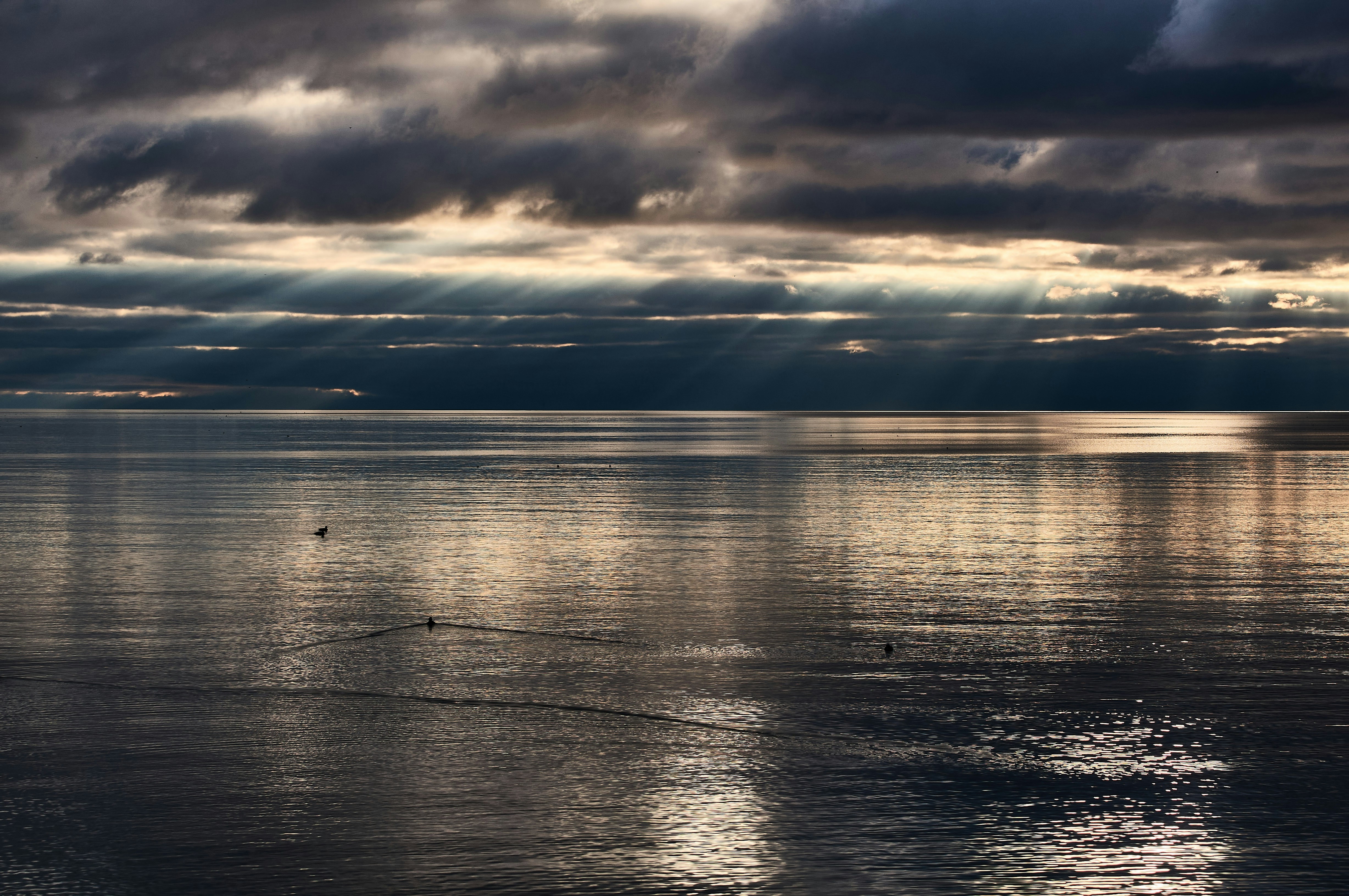 Photo by wolfgang_hasselmann