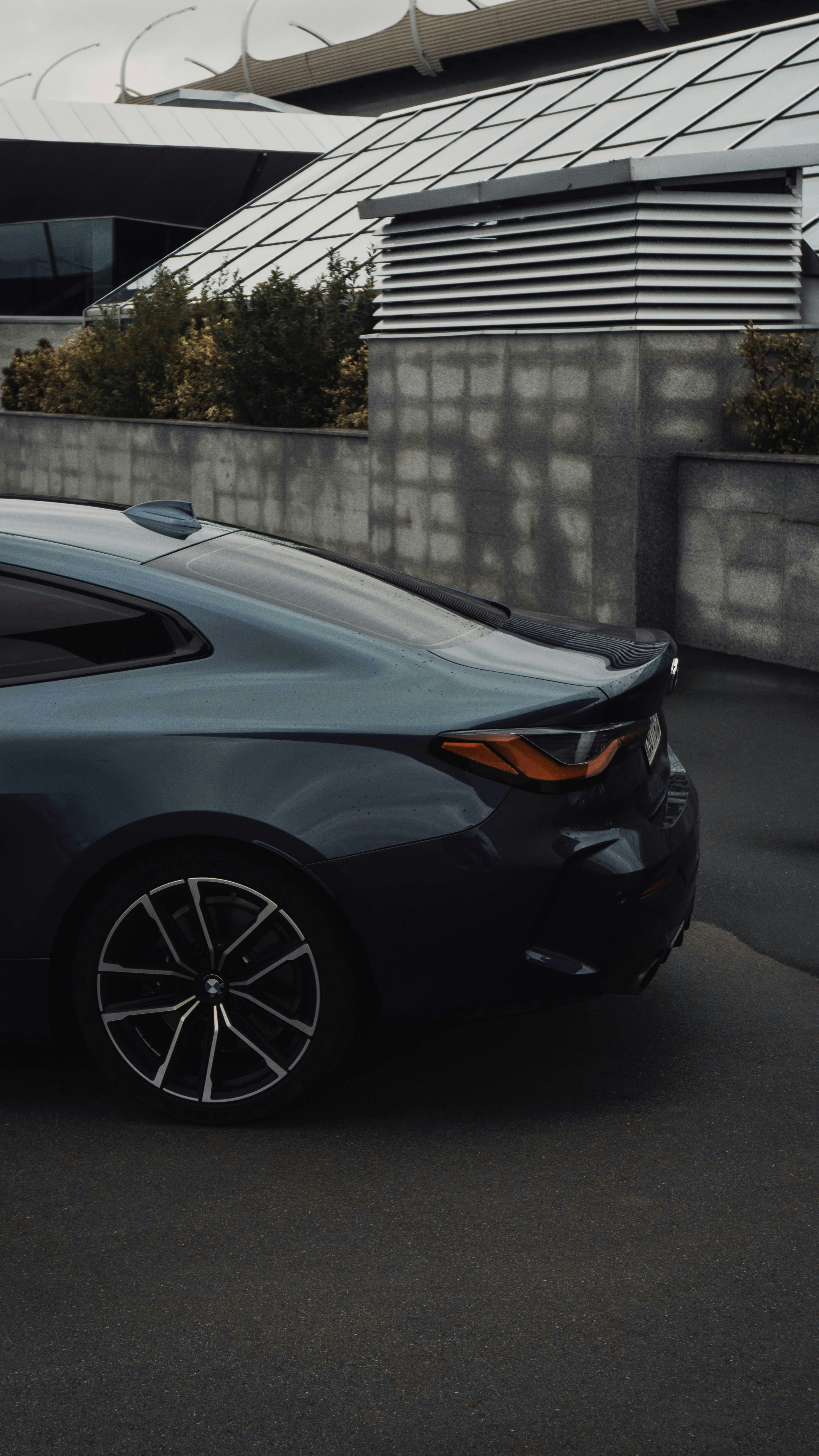 Photo by alexanderdozorets