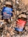 Two bottles of Simply8 gummy vitamins are surrounded by metallic silver decorative shreds. One bottle is labeled as Vitamin D3 with a blue label, while the other is for hair, skin, and nails with a red label. Both bottles have white caps.