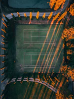 A peaceful view of the tennis courts surrounded by lush greenery in the late afternoon.