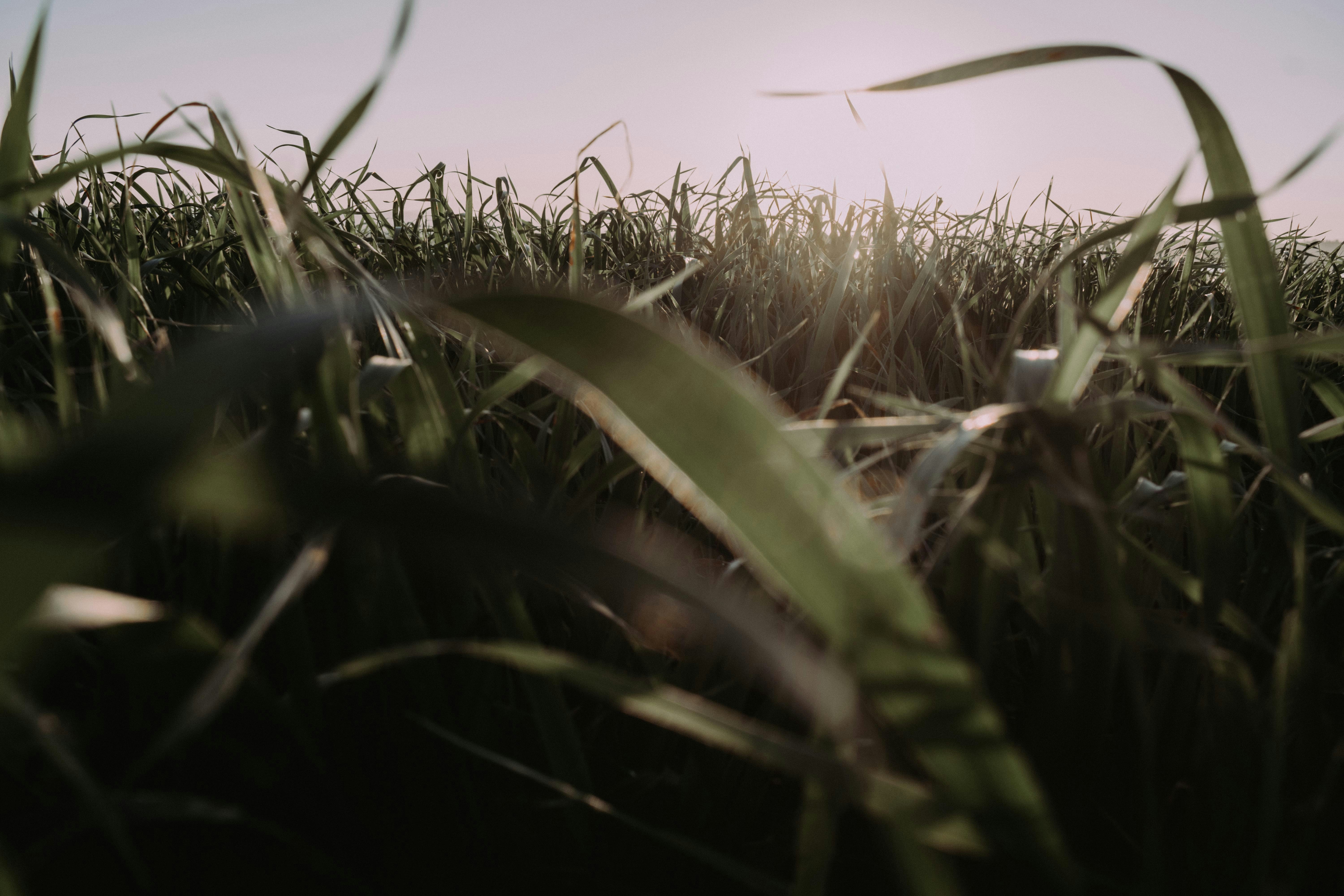 Photo by bilal_ayadi