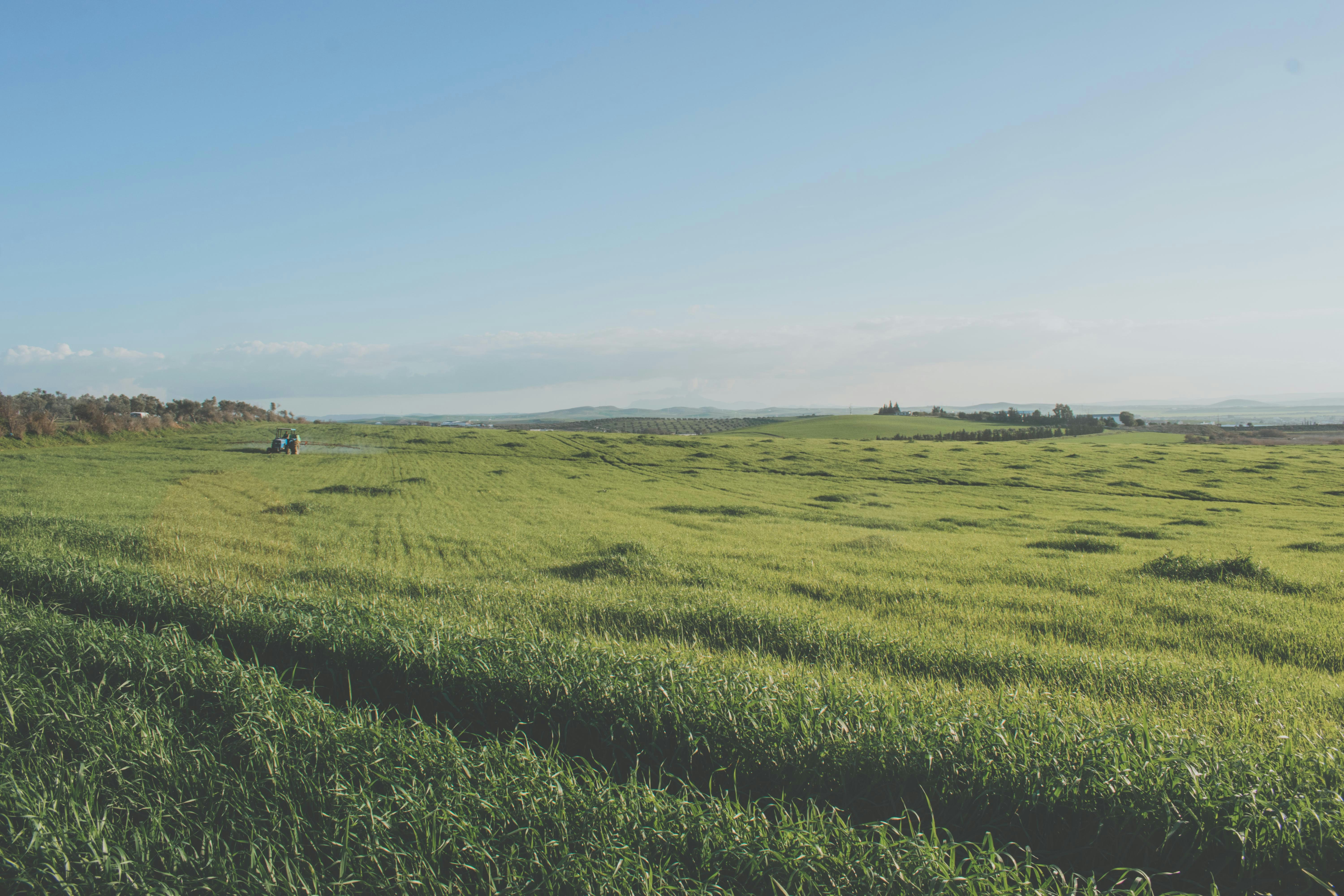 Photo by bilal_ayadi