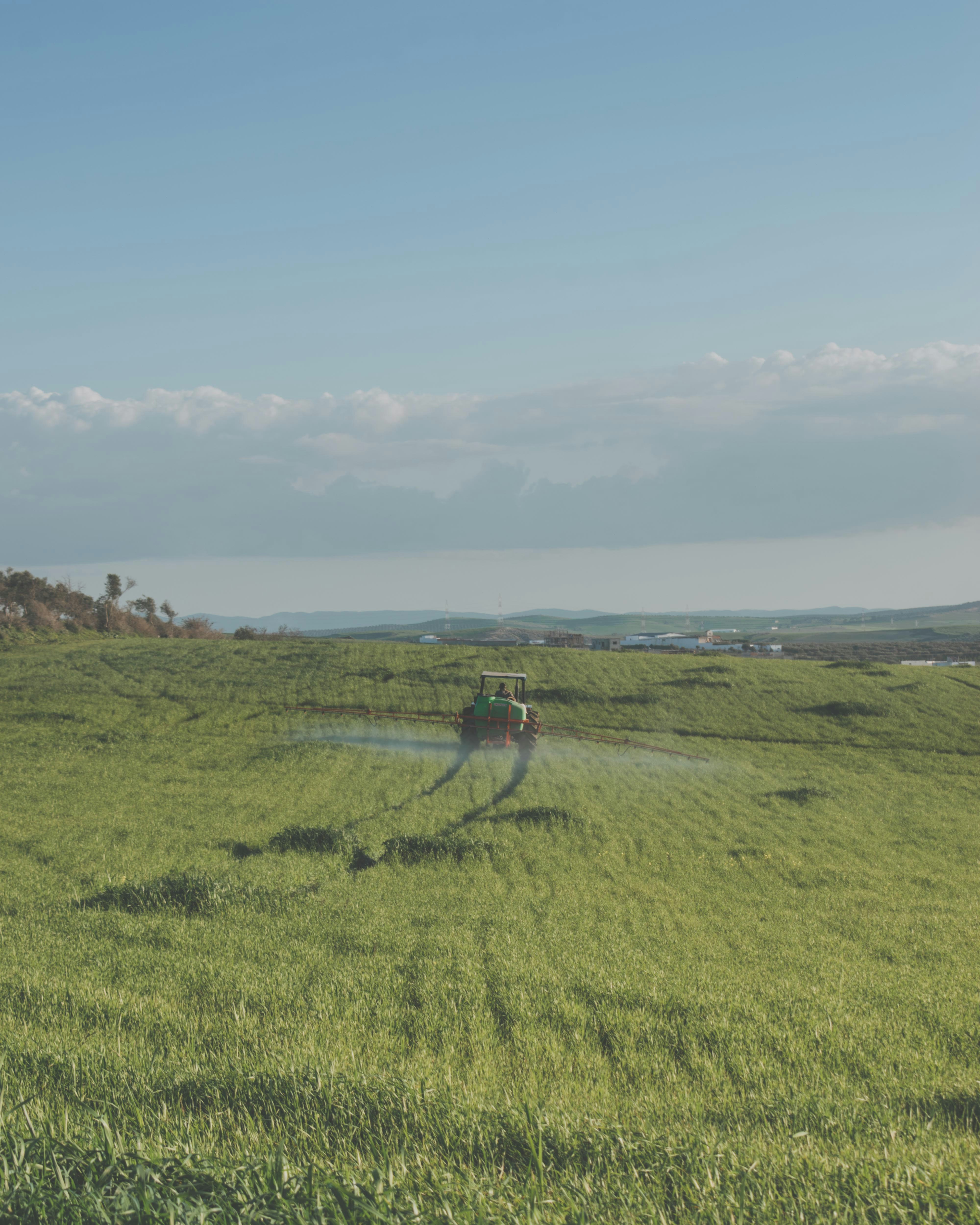 Photo by bilal_ayadi