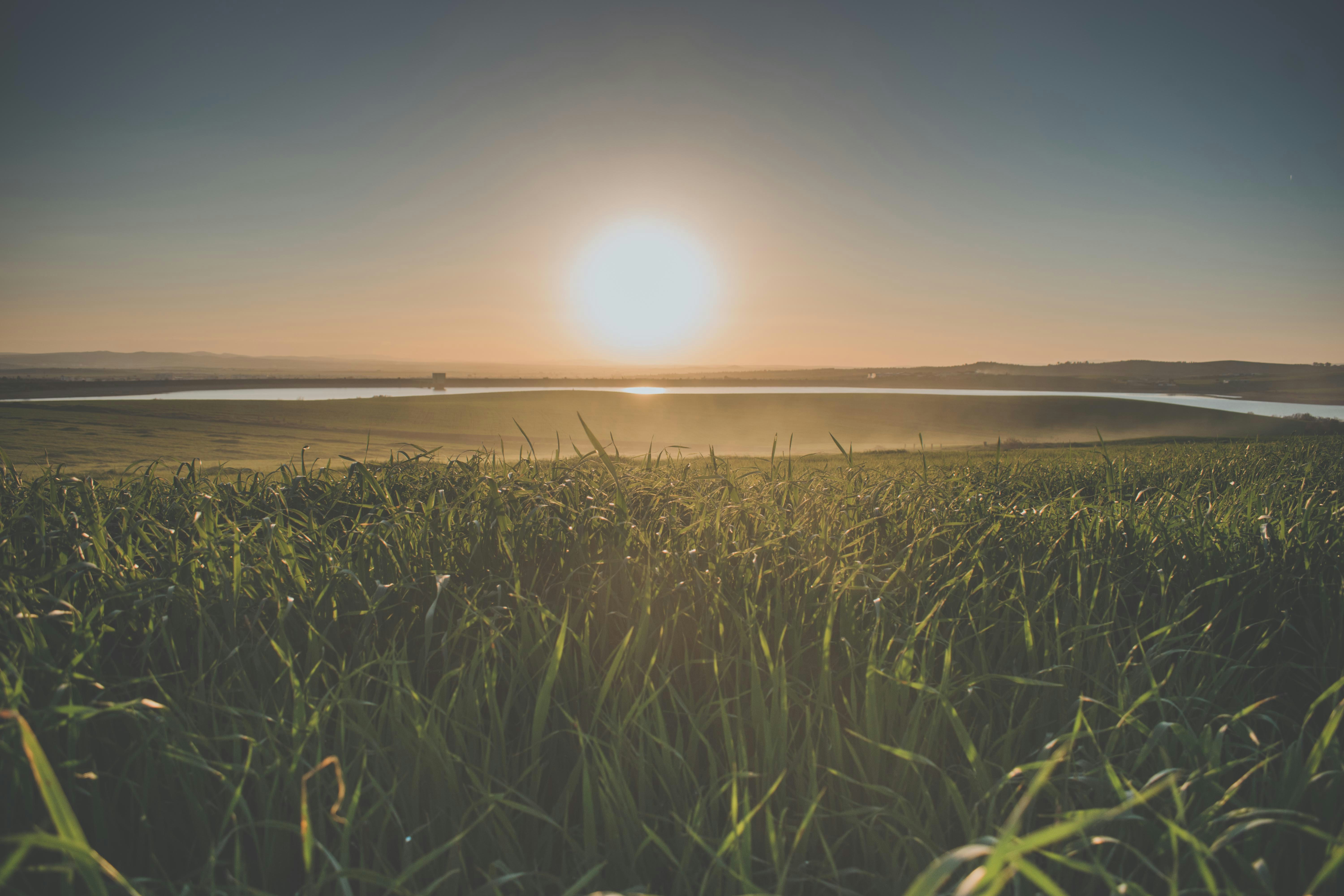 Photo by bilal_ayadi