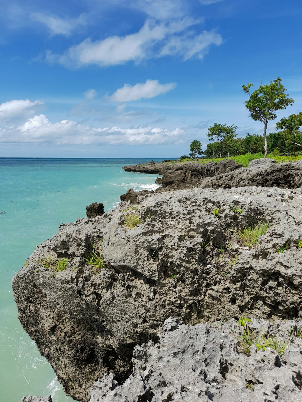 a person sitting on a rock near the ocean