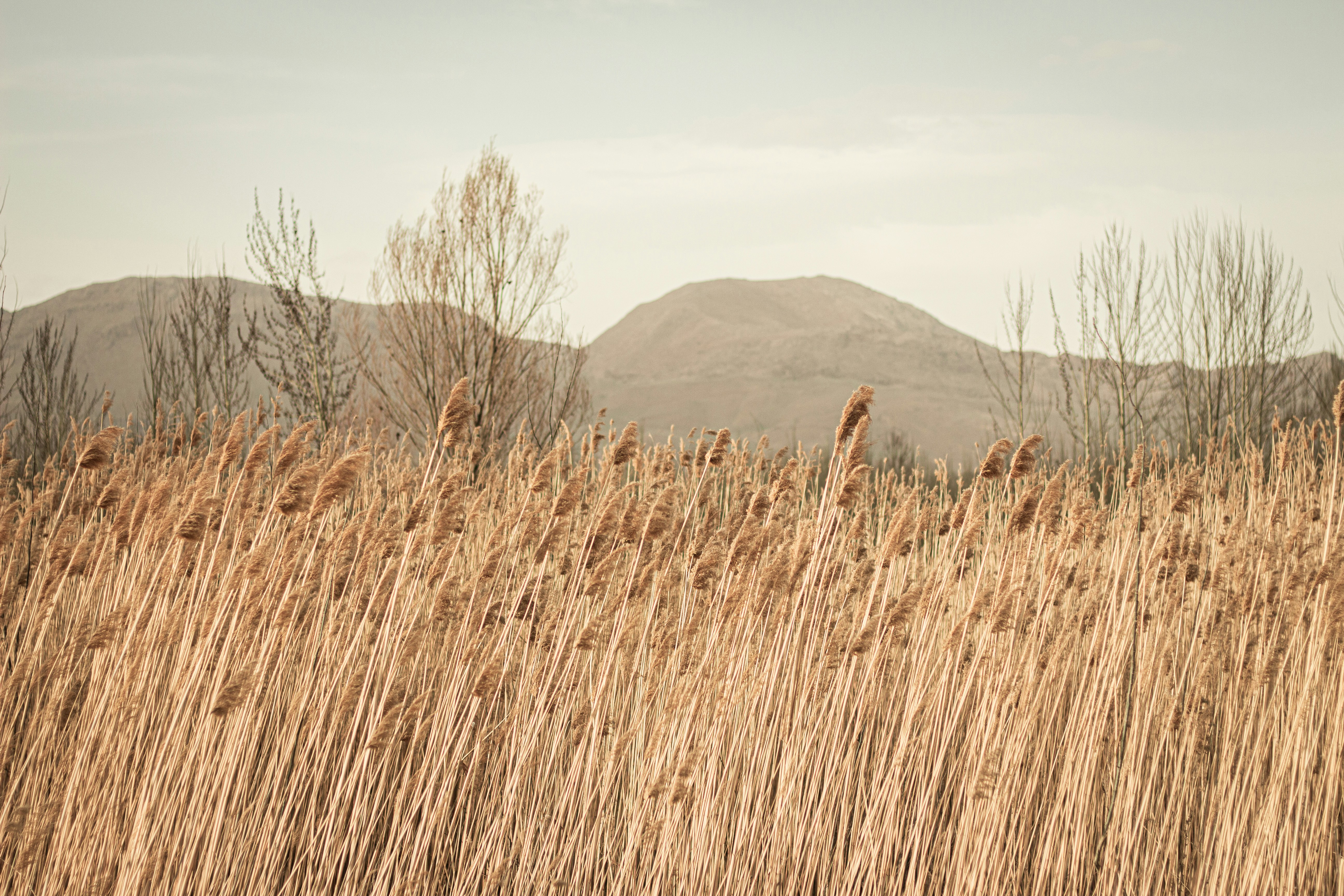 Photo by soroushzargar