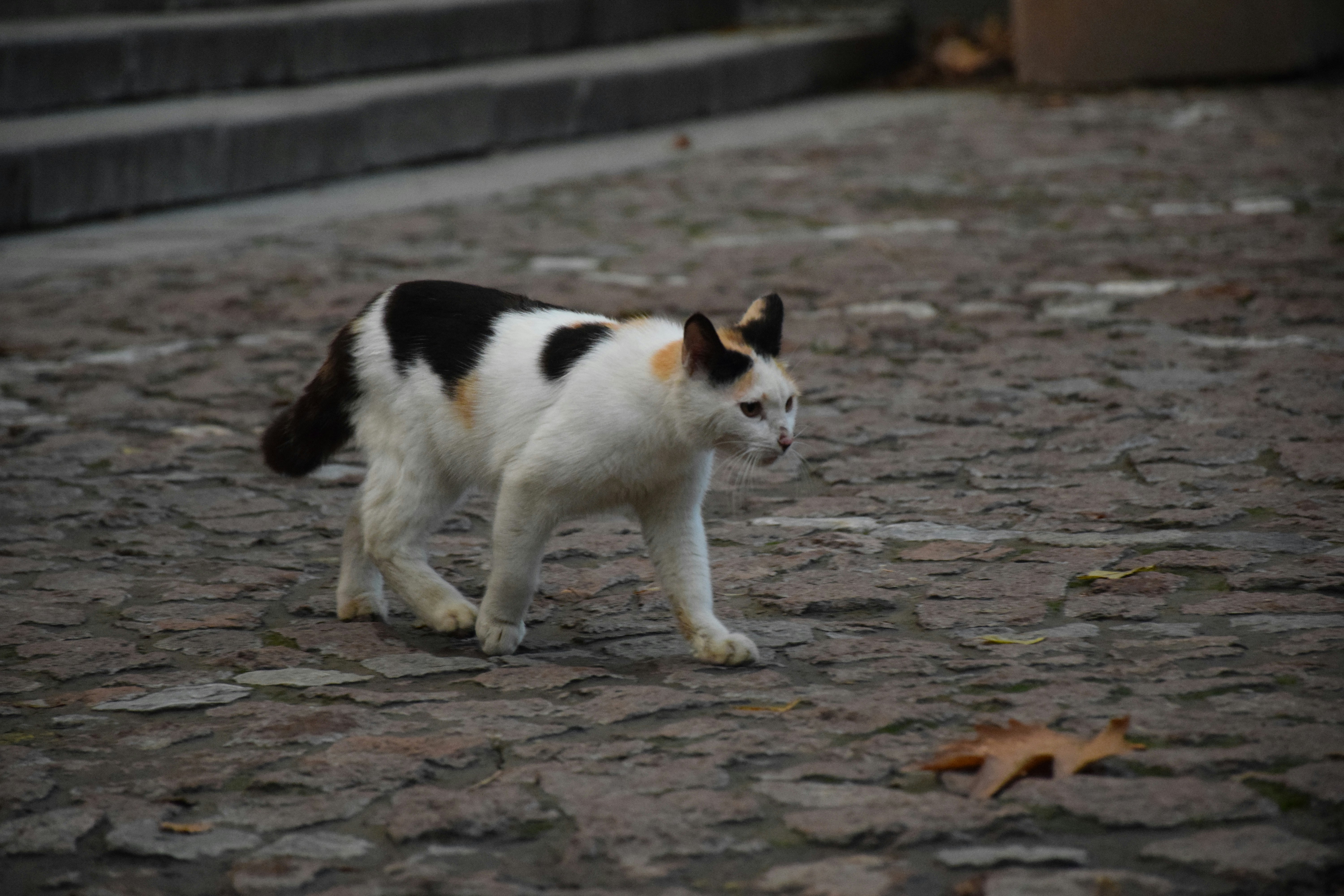 Photo by esk_nazanin