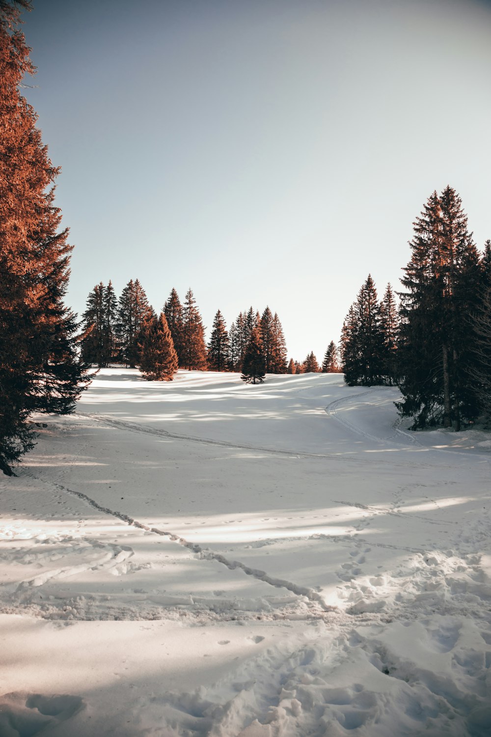 a man riding skis down a snow covered slope