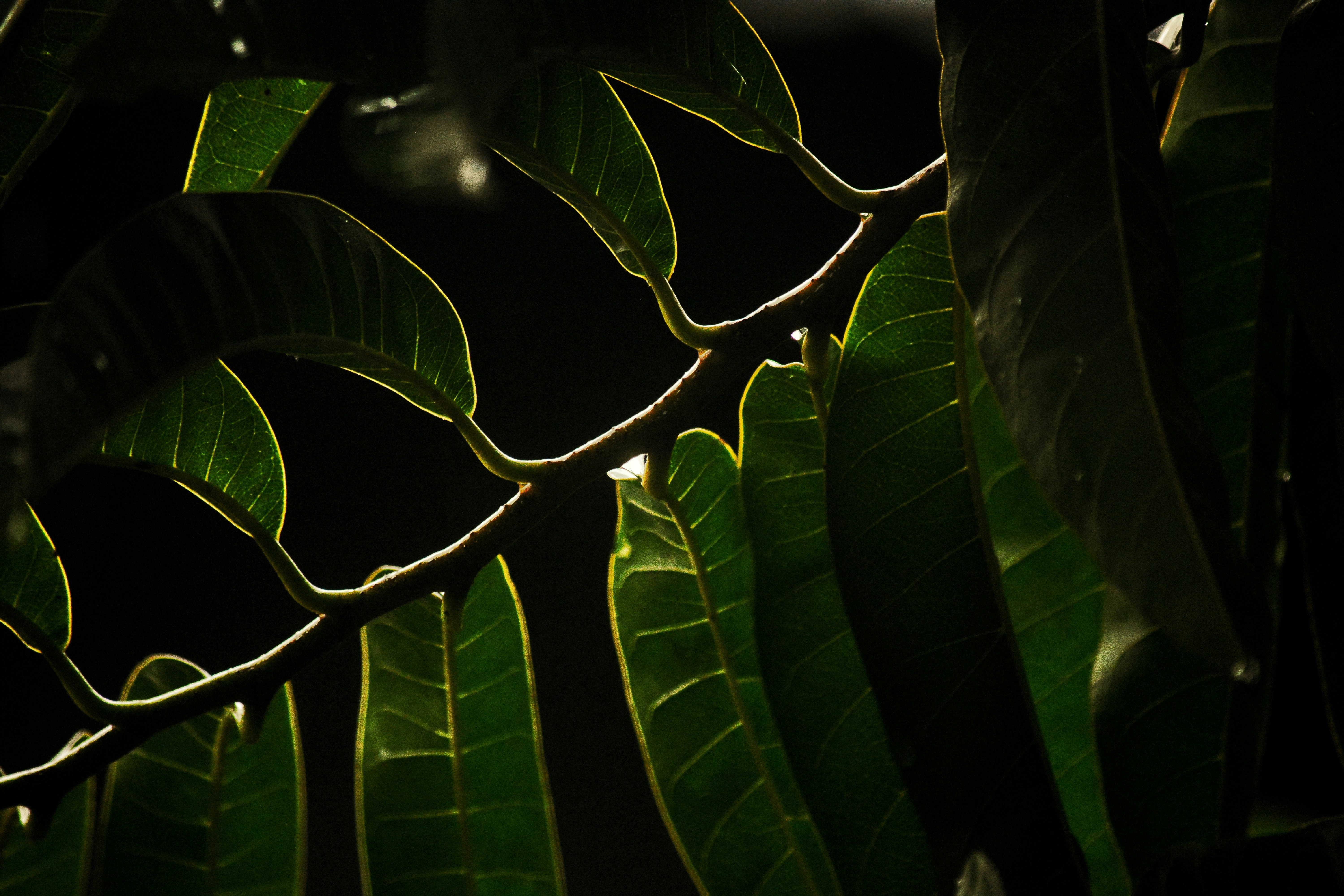 Photo by miadkhan_official