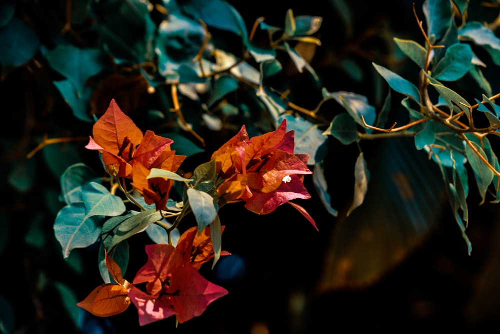 a bunch of flowers that are on a tree