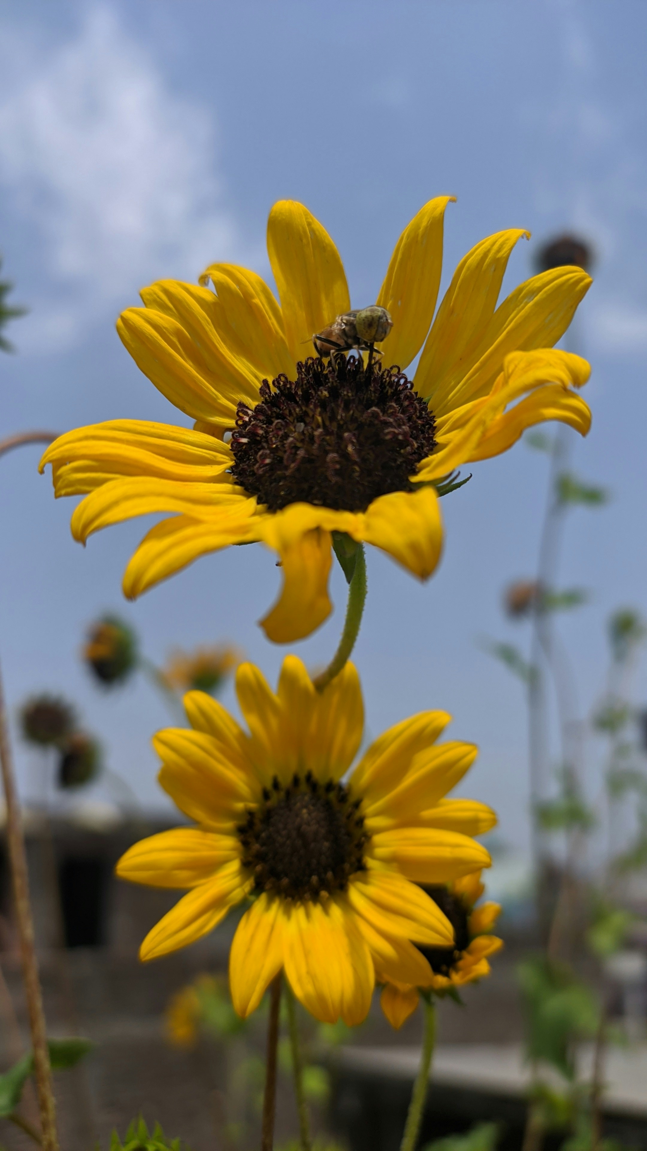 Photo by akash_gupta