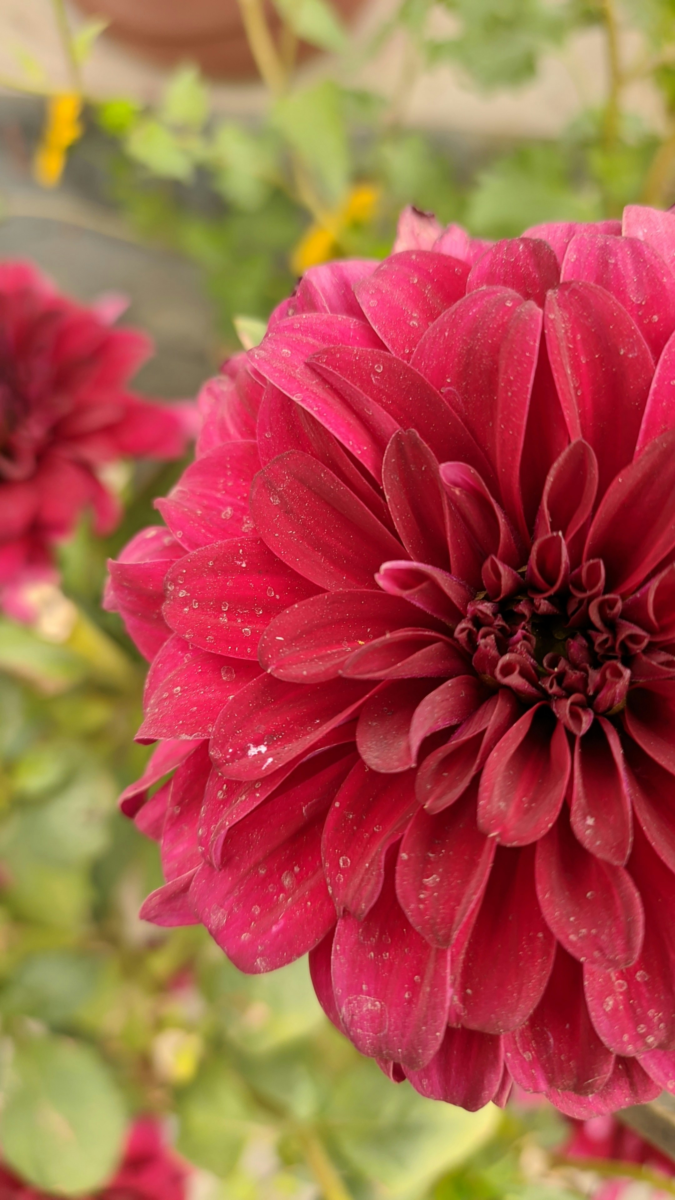 Photo by akash_gupta