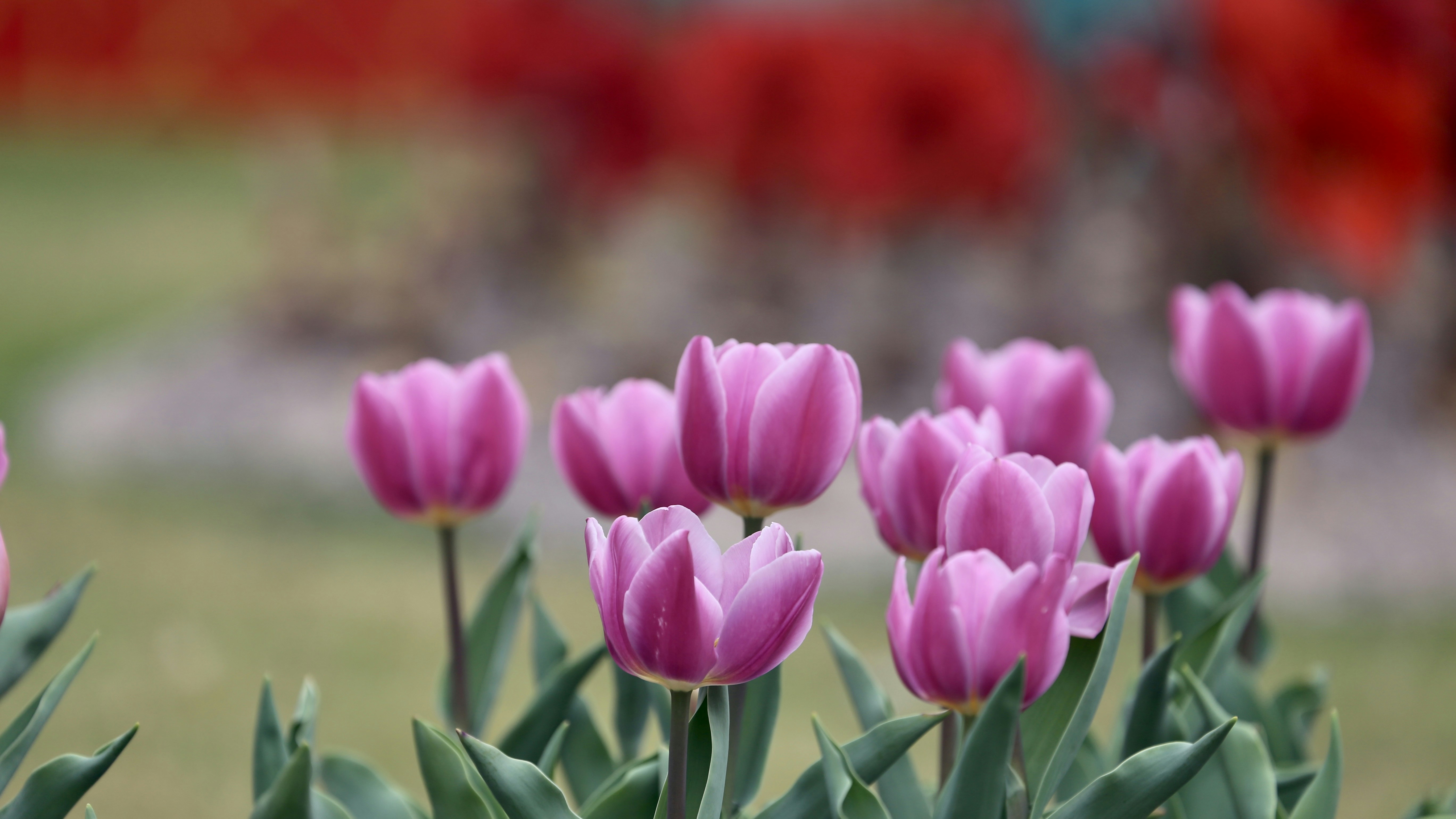 Photo by dickenslin76