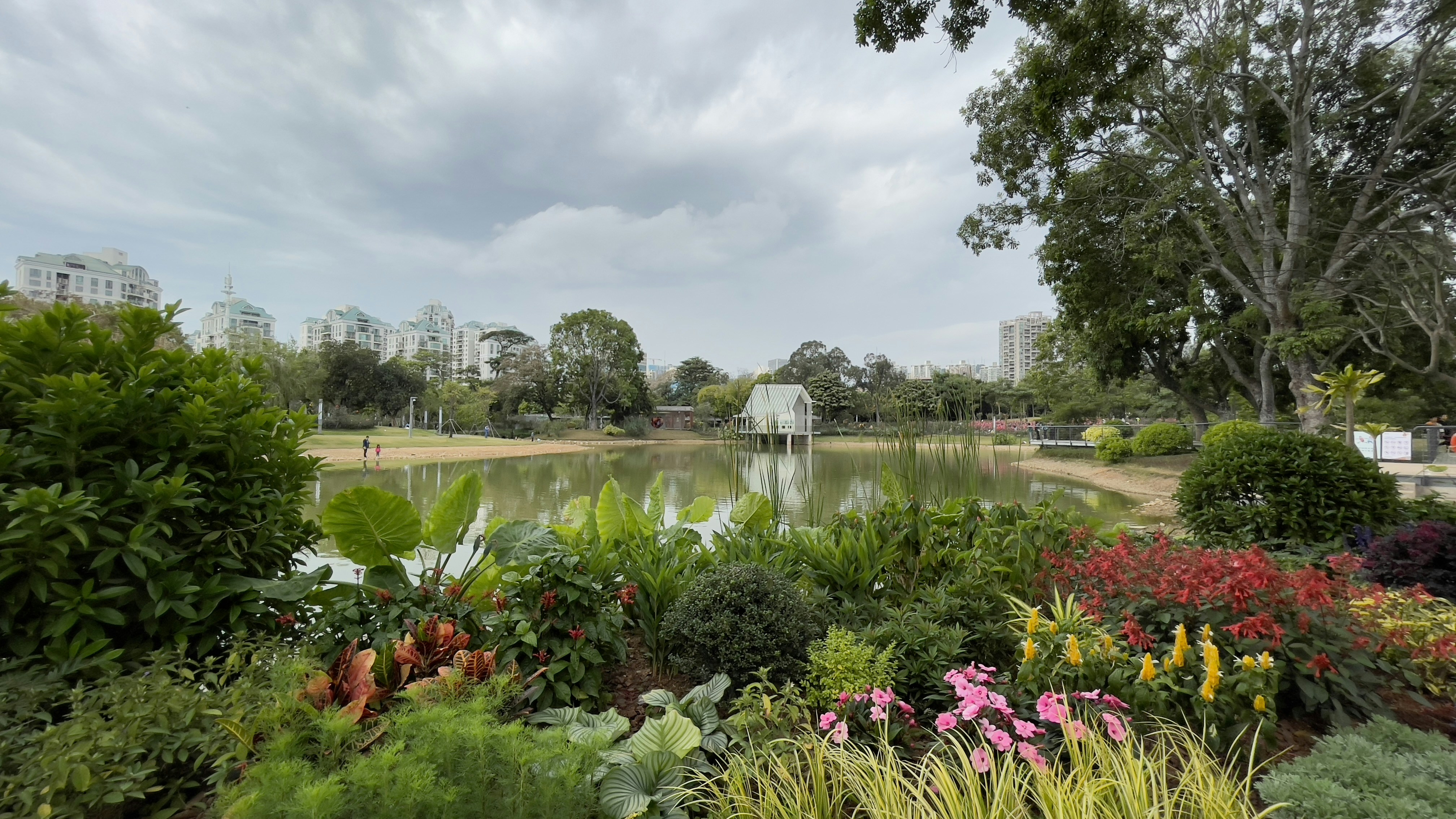 Photo by dickenslin76