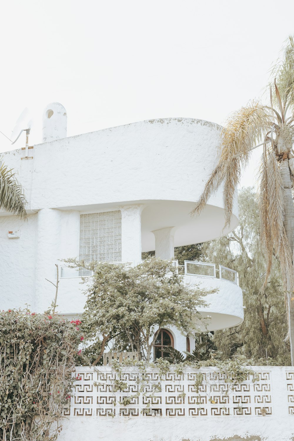 a white building with a palm tree in front of it